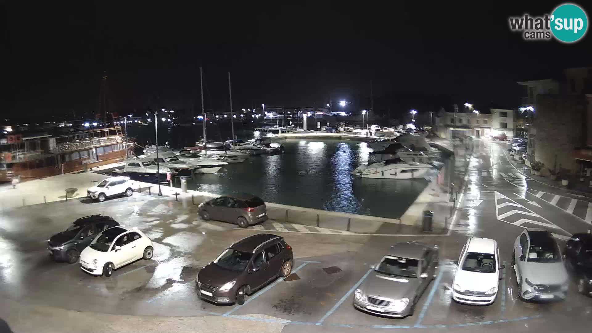 Novigrad | Porporela marina