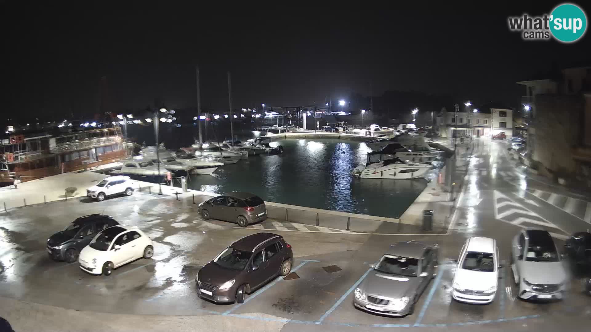 Novigrad | Porporela marina