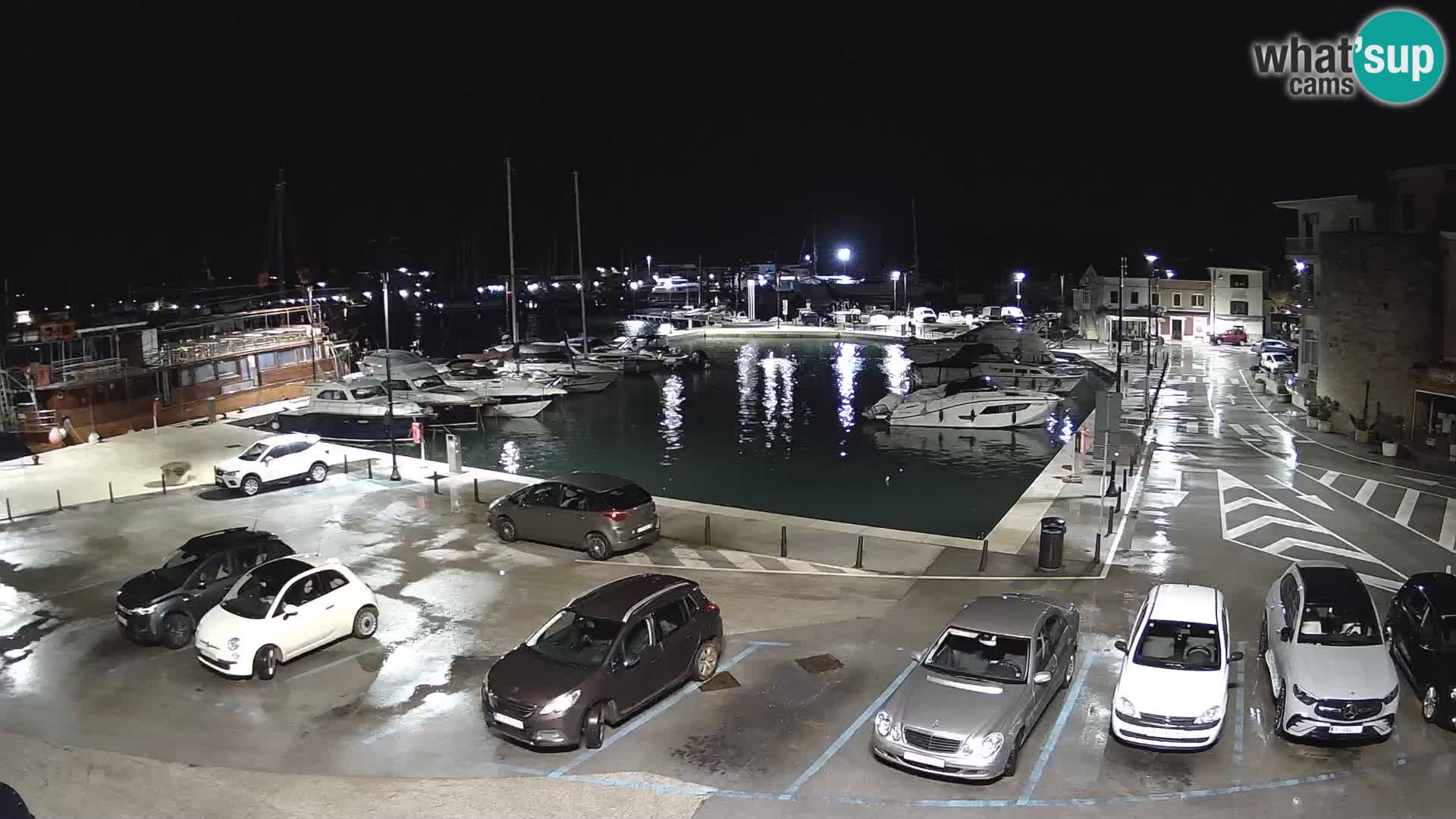 Novigrad | Porporela marina