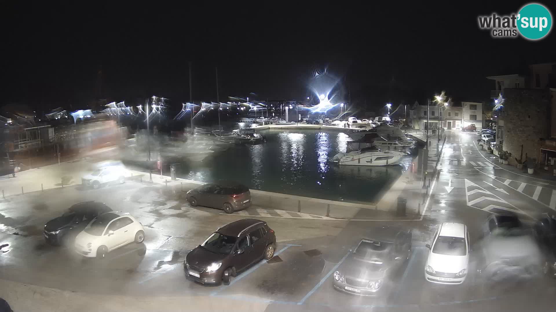 Novigrad | Porporela marina