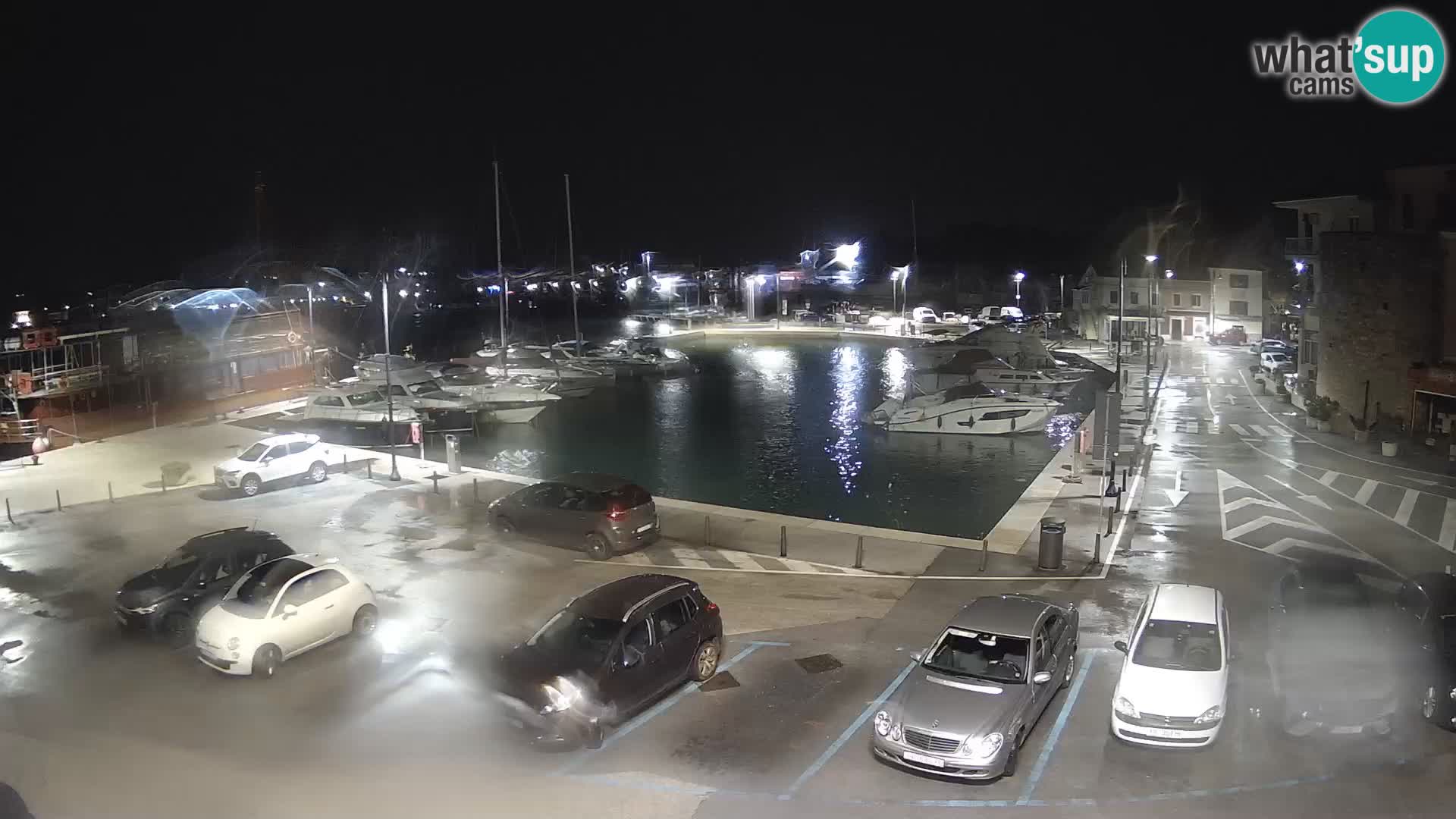 Novigrad | Porporela marina