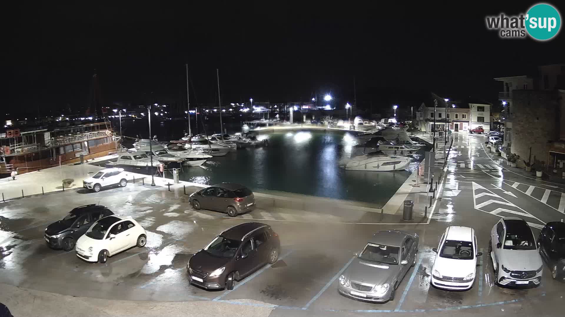 Novigrad | Porporela marina