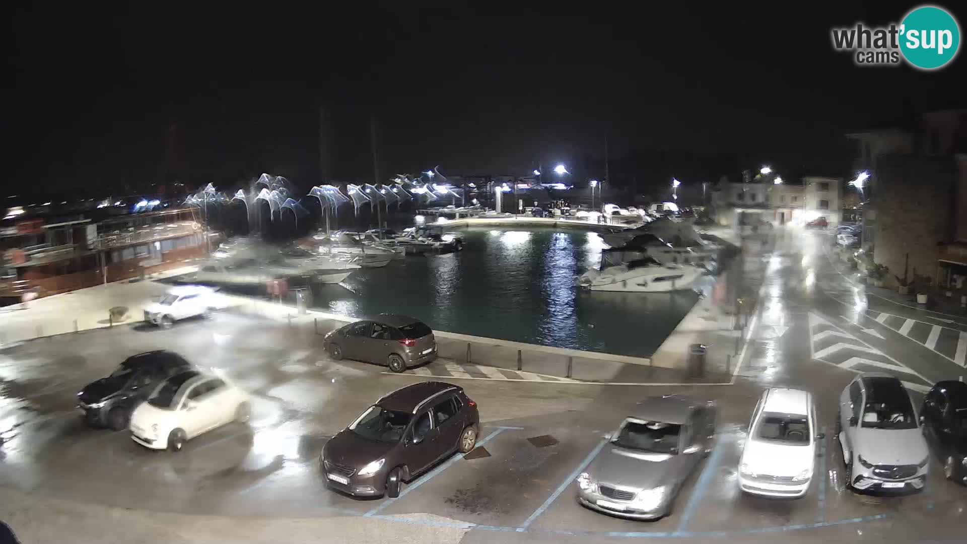 Novigrad | Porporela marina