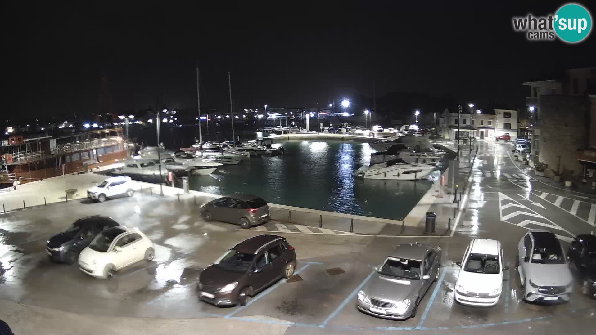Novigrad | Porporela marina