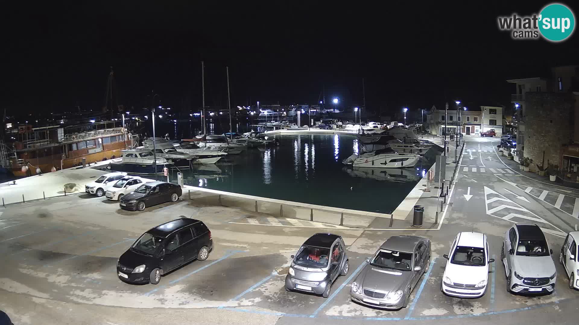 Novigrad | Porporela marina