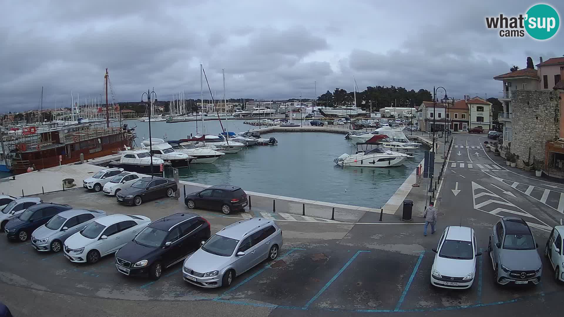 Novigrad | Porporela marina