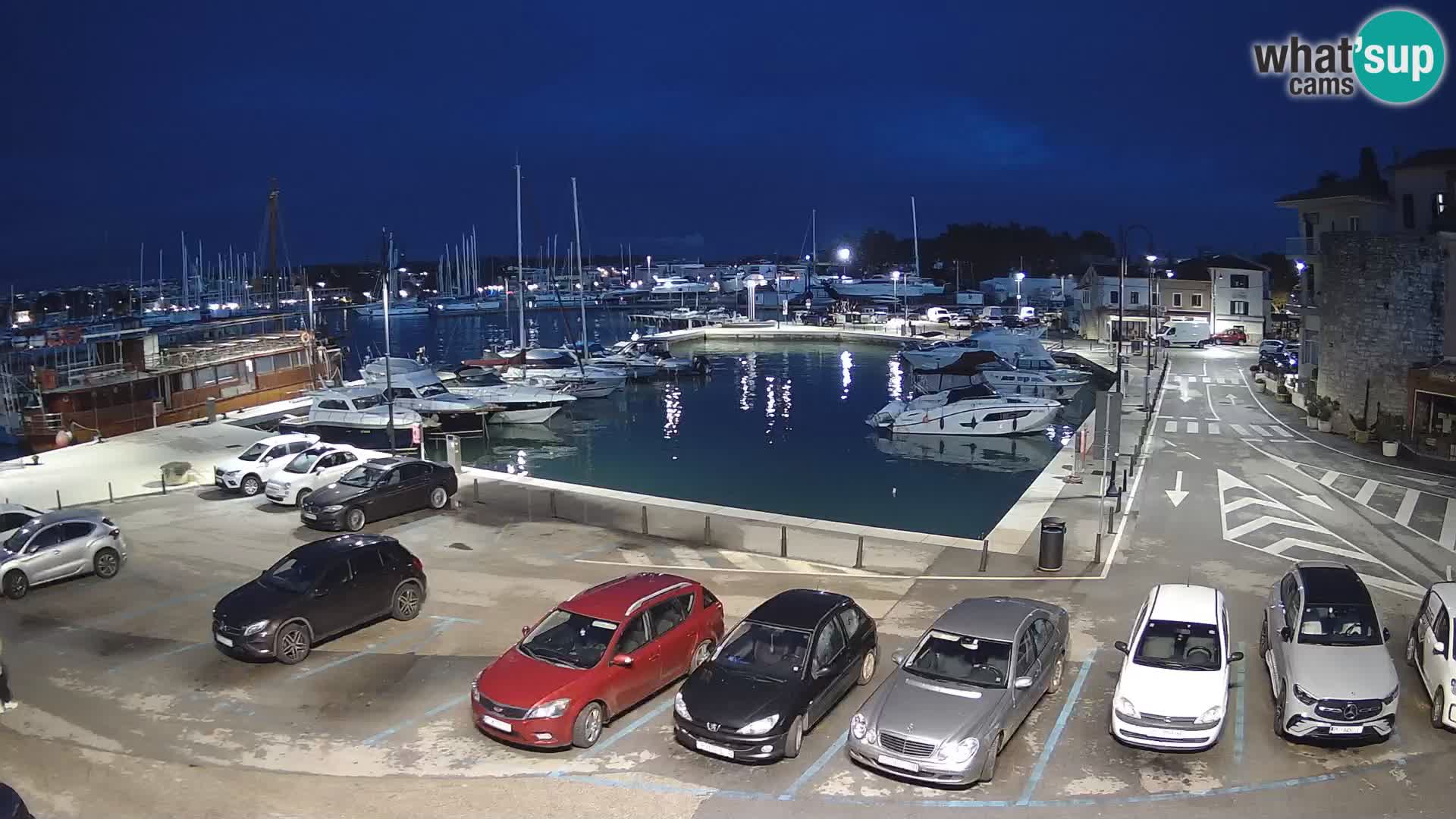 Novigrad | Porporela marina