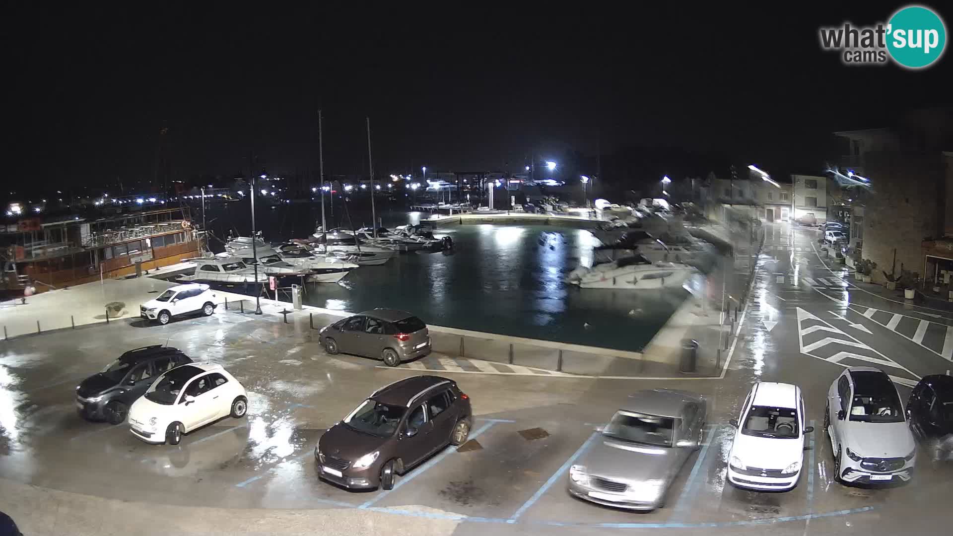 Novigrad | Porporela marina