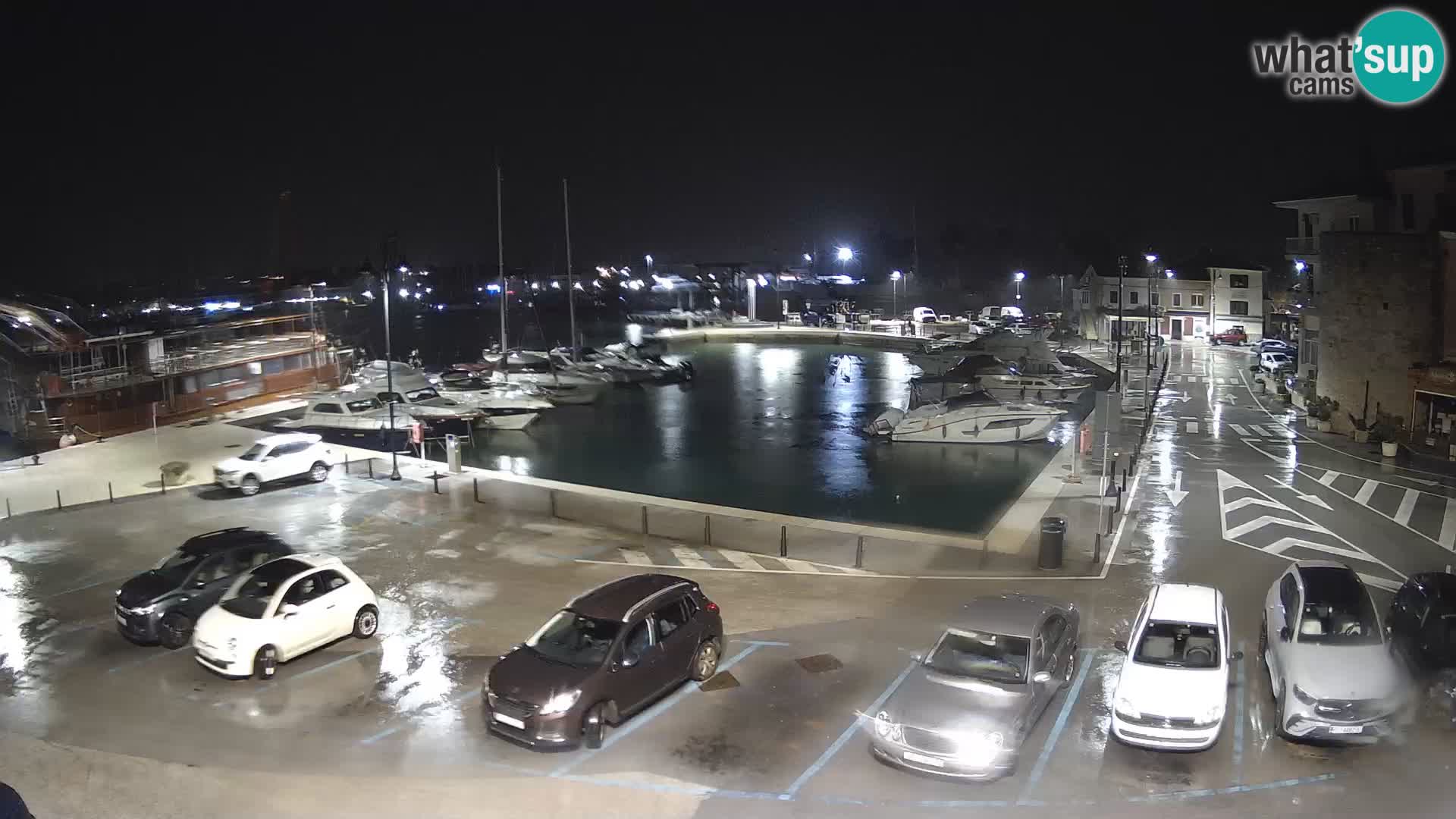 Novigrad | Porporela marina