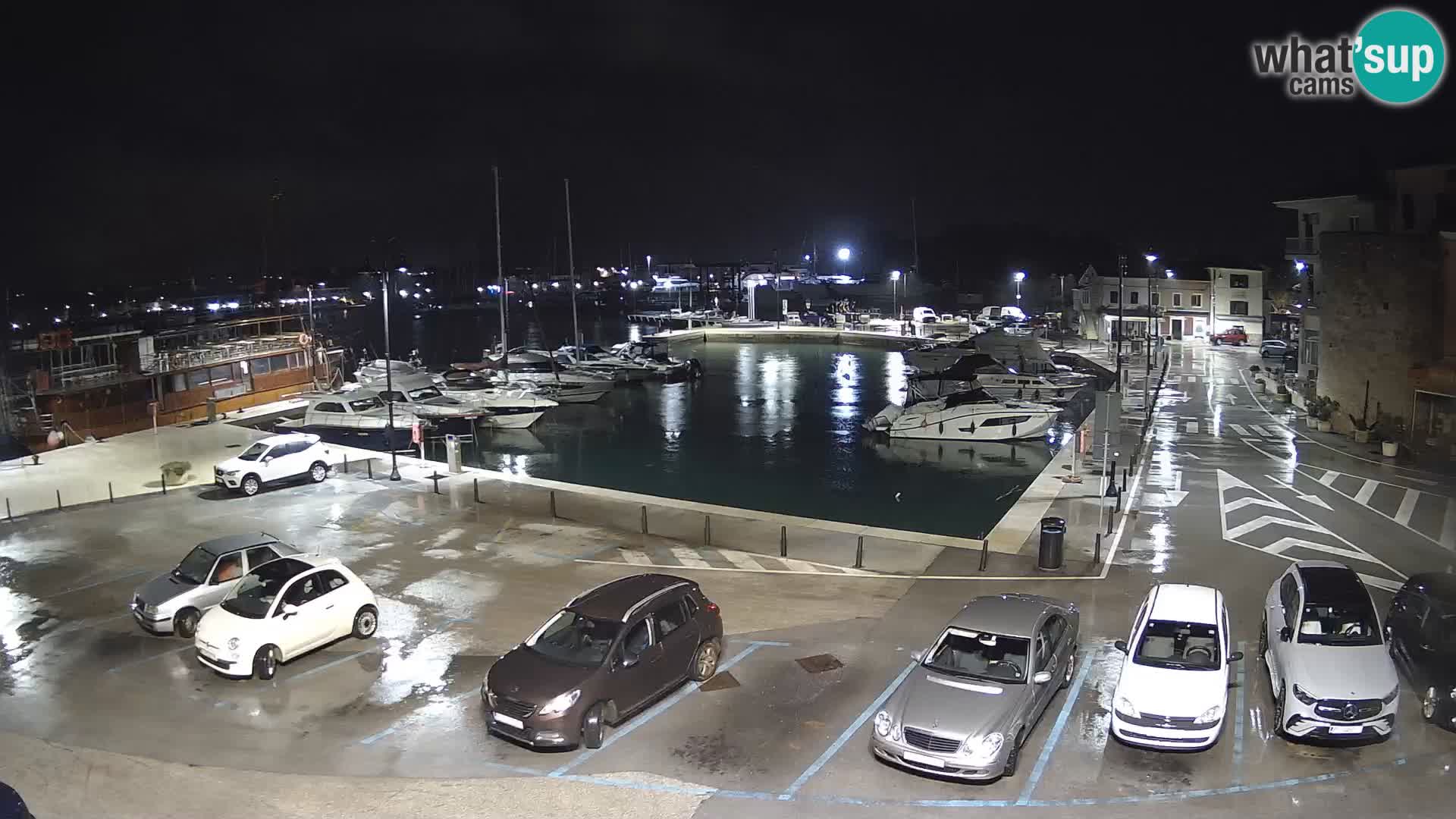 Novigrad | Porporela marina