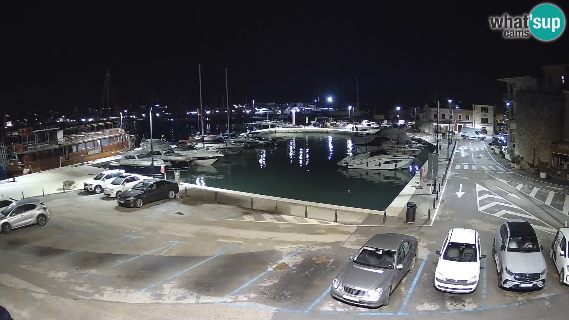 Novigrad | Porporela marina
