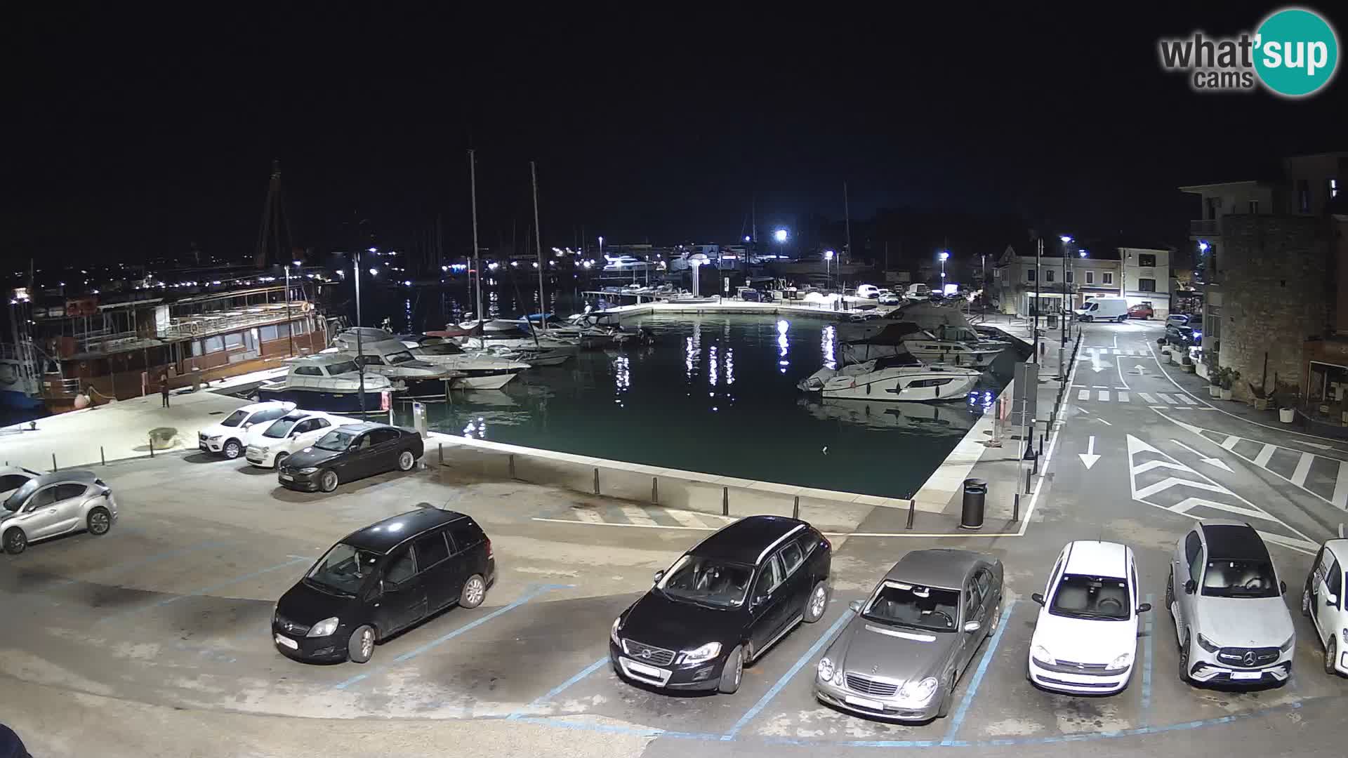 Novigrad | Porporela marina