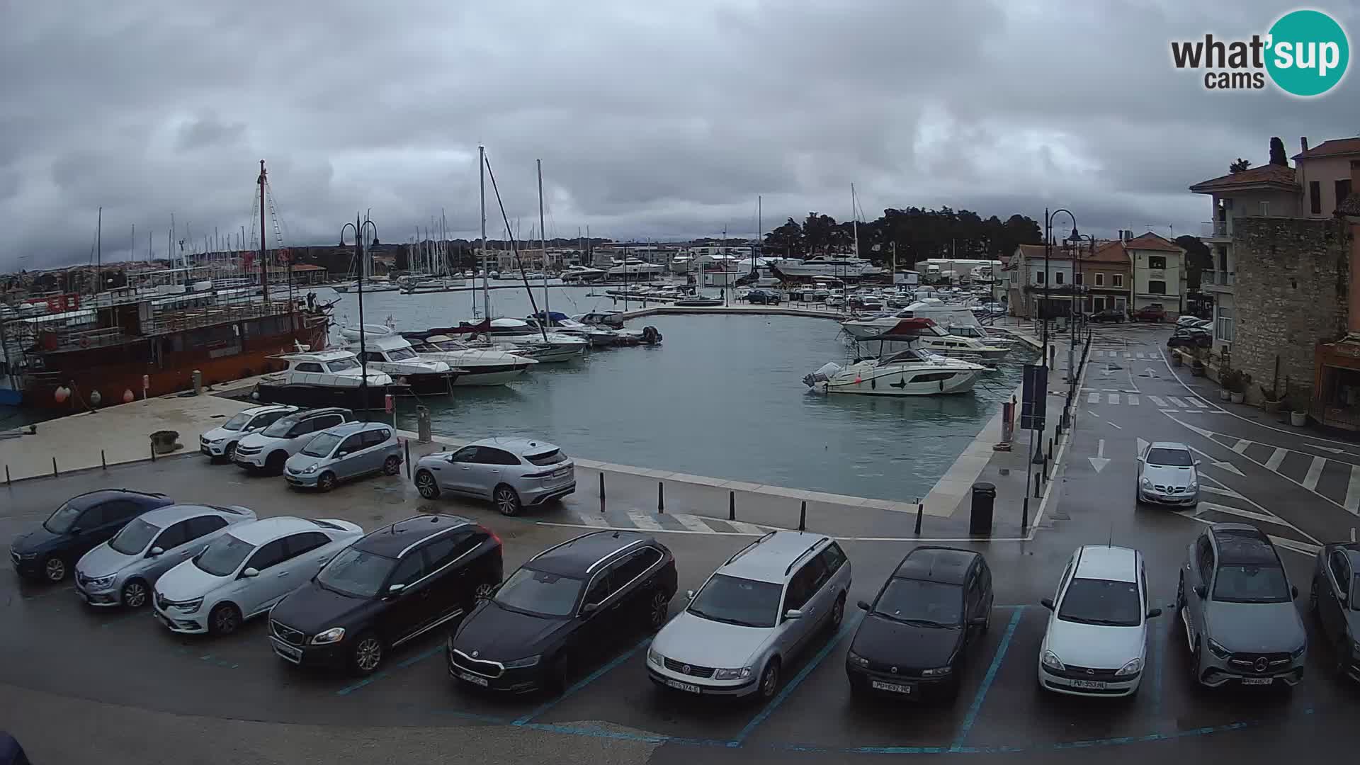 Novigrad | Porporela marina