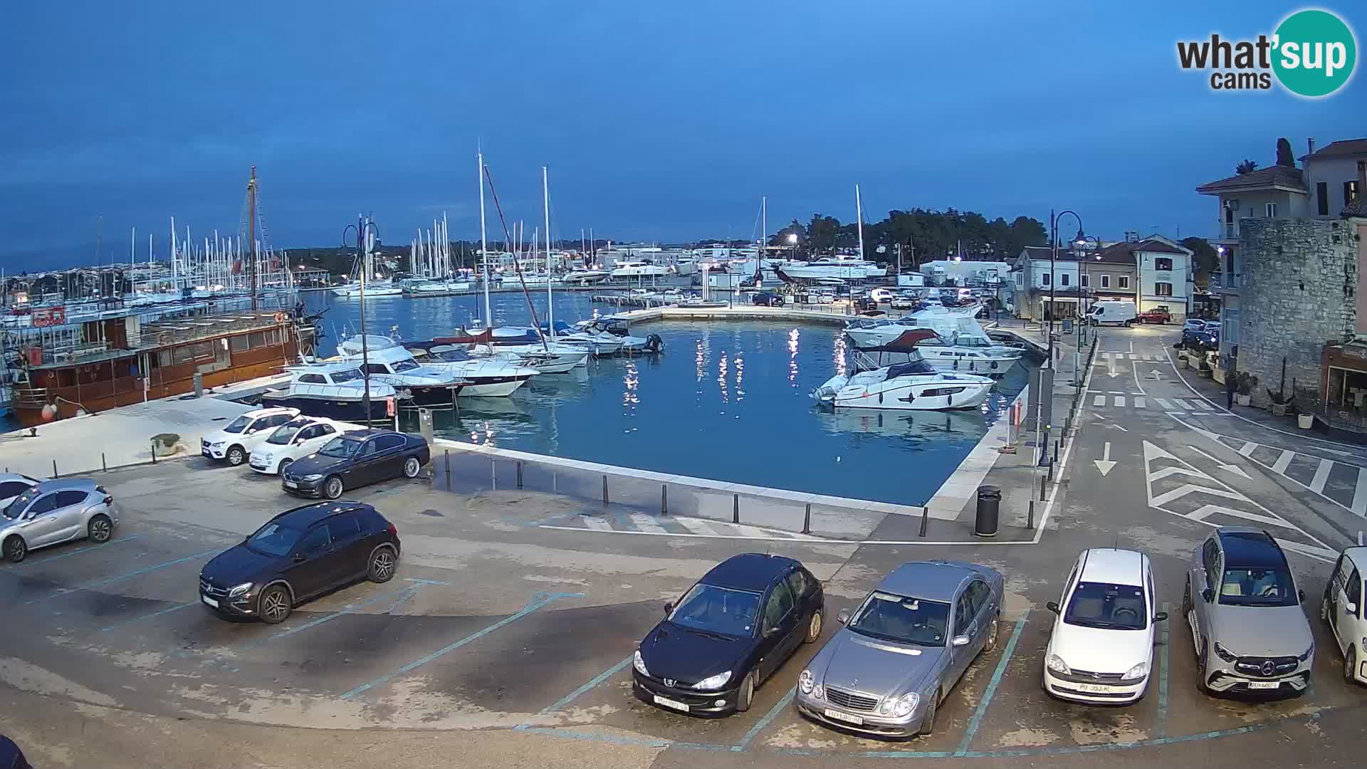 Novigrad | Porporela marina