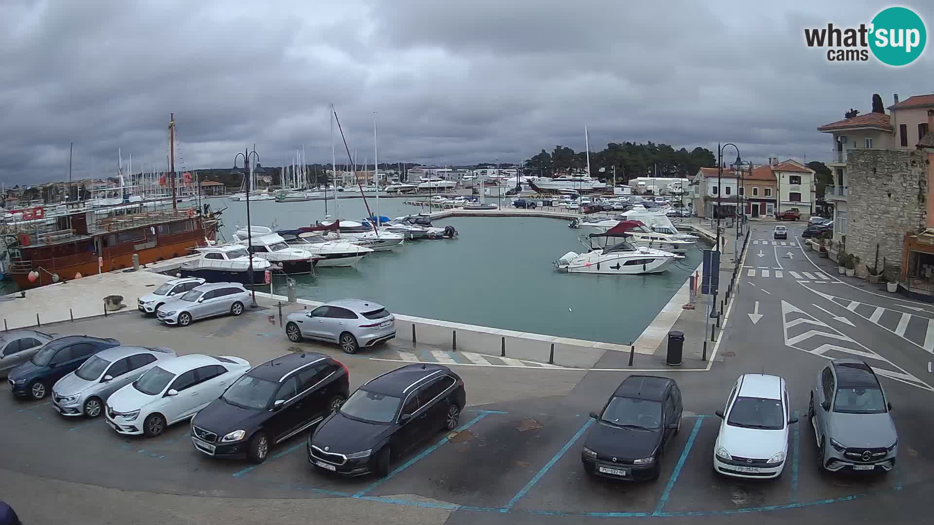 Novigrad | Porporela marina