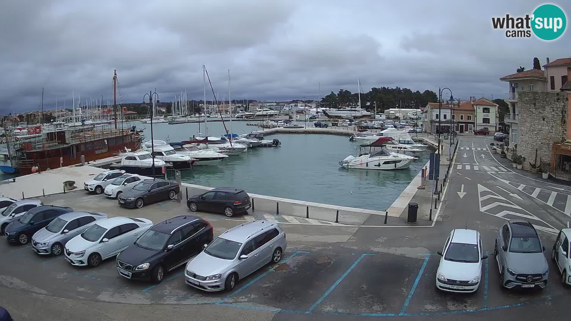 Novigrad | Porporela marina