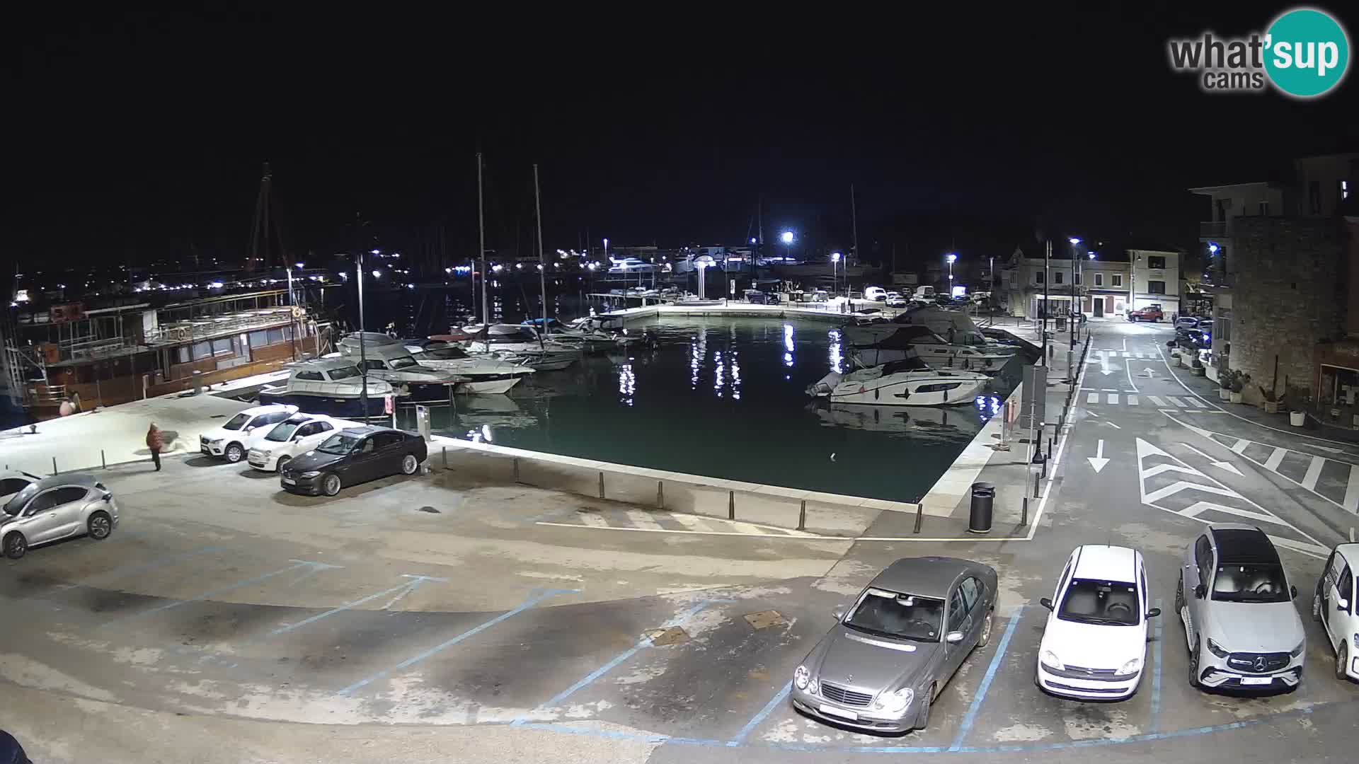 Novigrad | Porporela marina