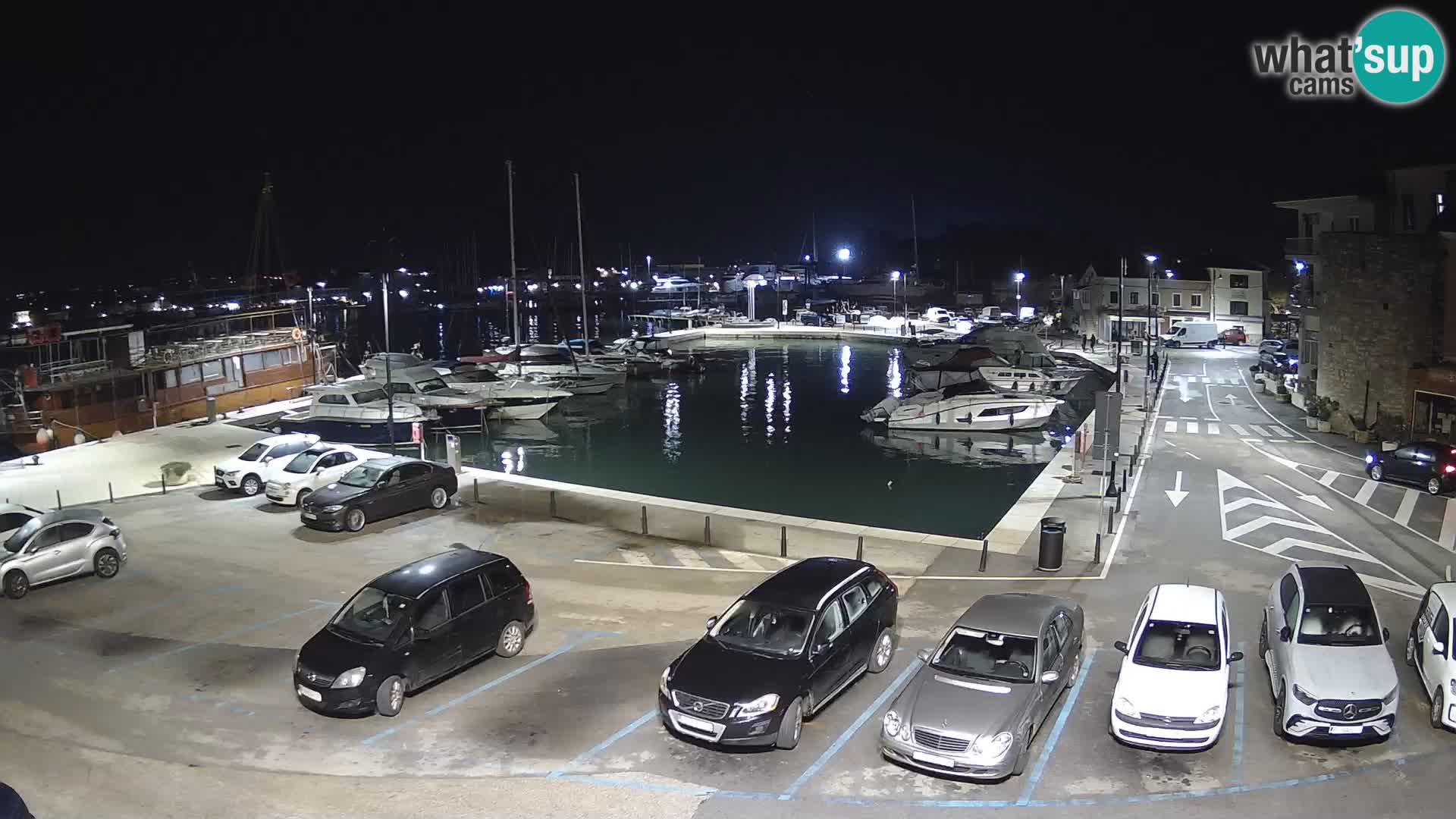 Novigrad | Porporela marina