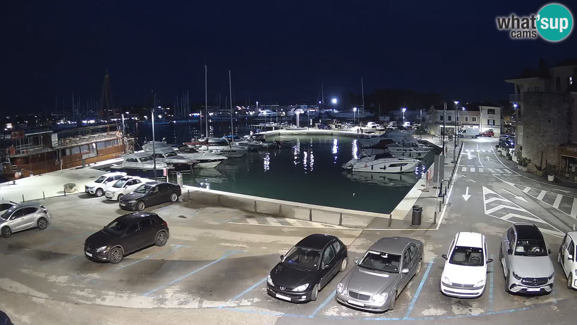 Novigrad | Porporela marina