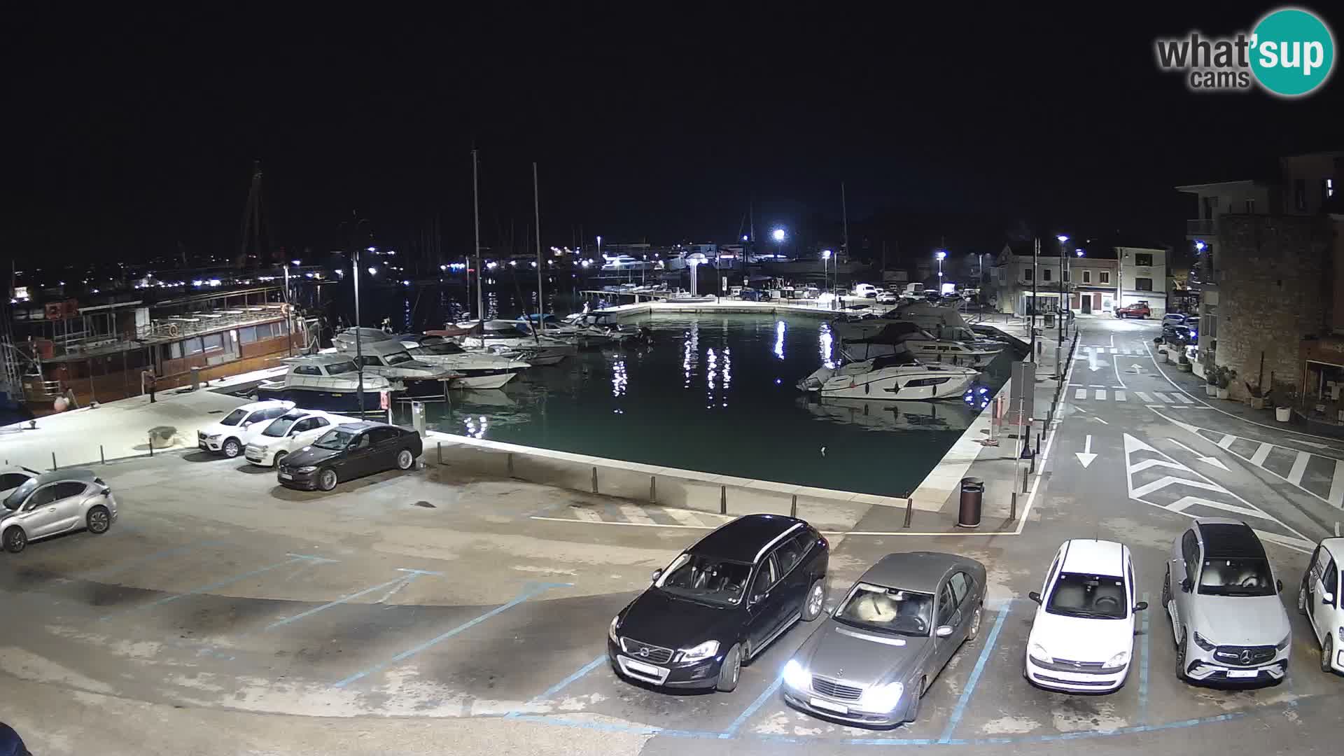 Novigrad | Porporela marina