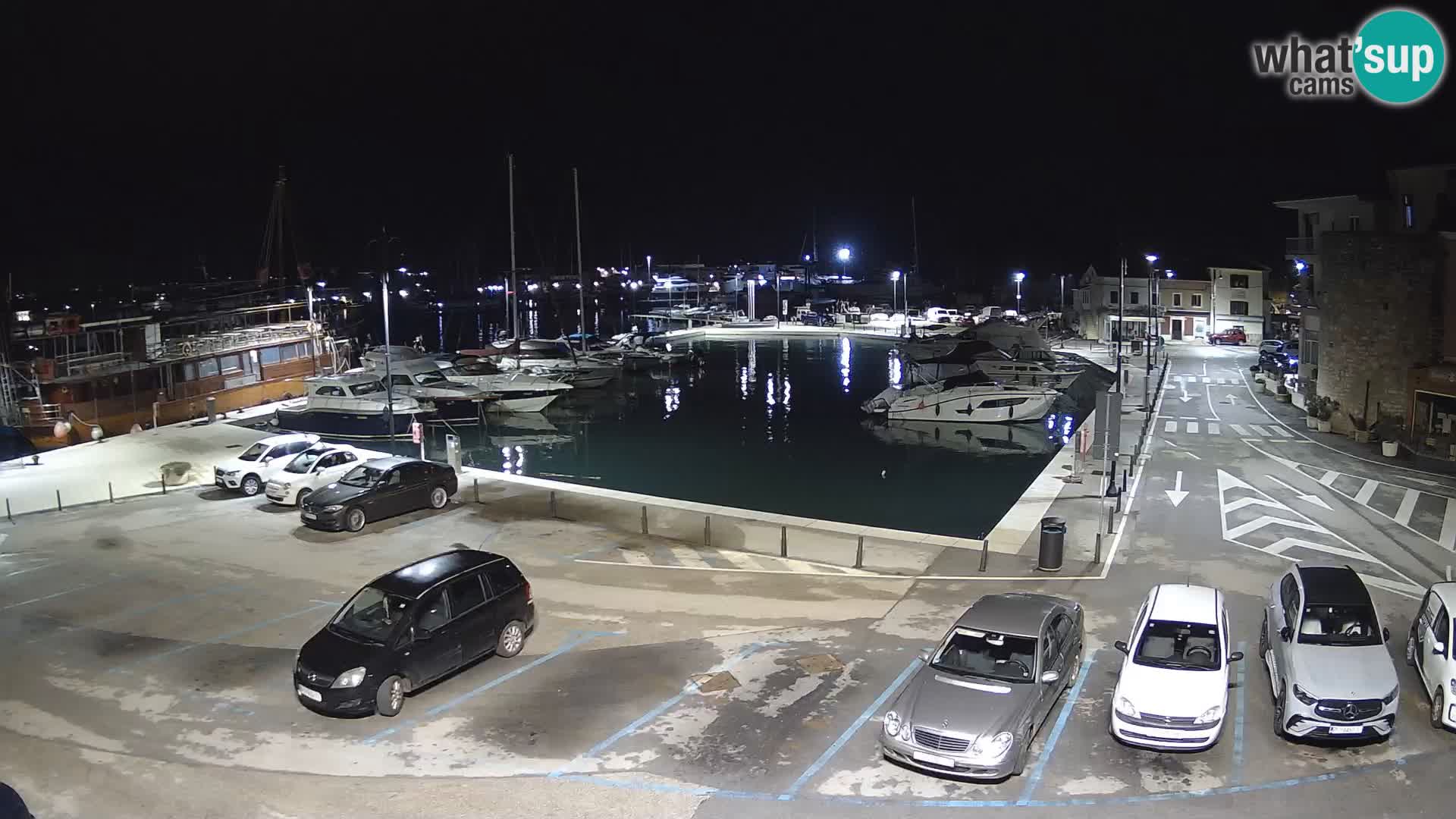 Novigrad | Porporela marina