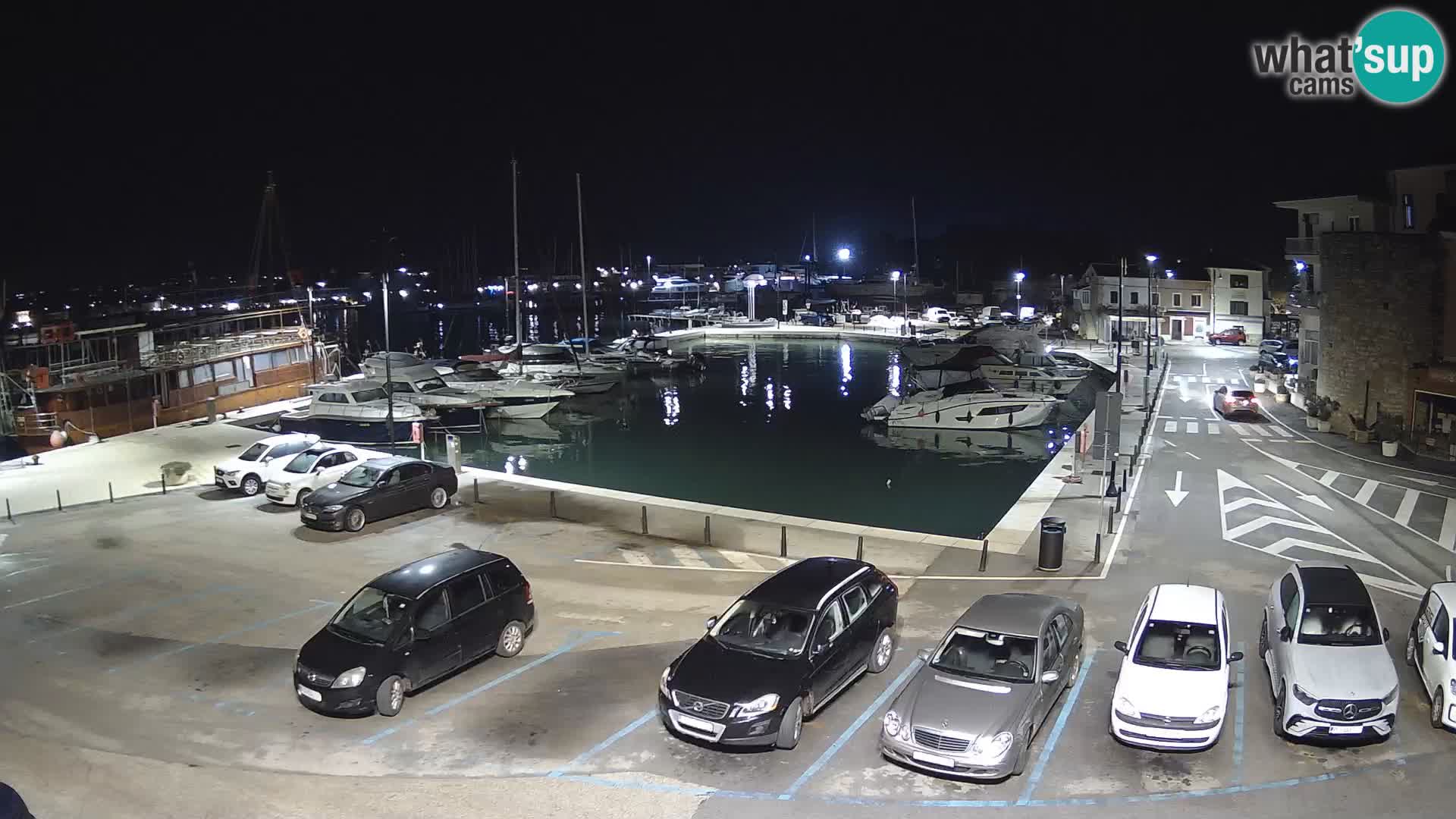 Novigrad | Porporela marina