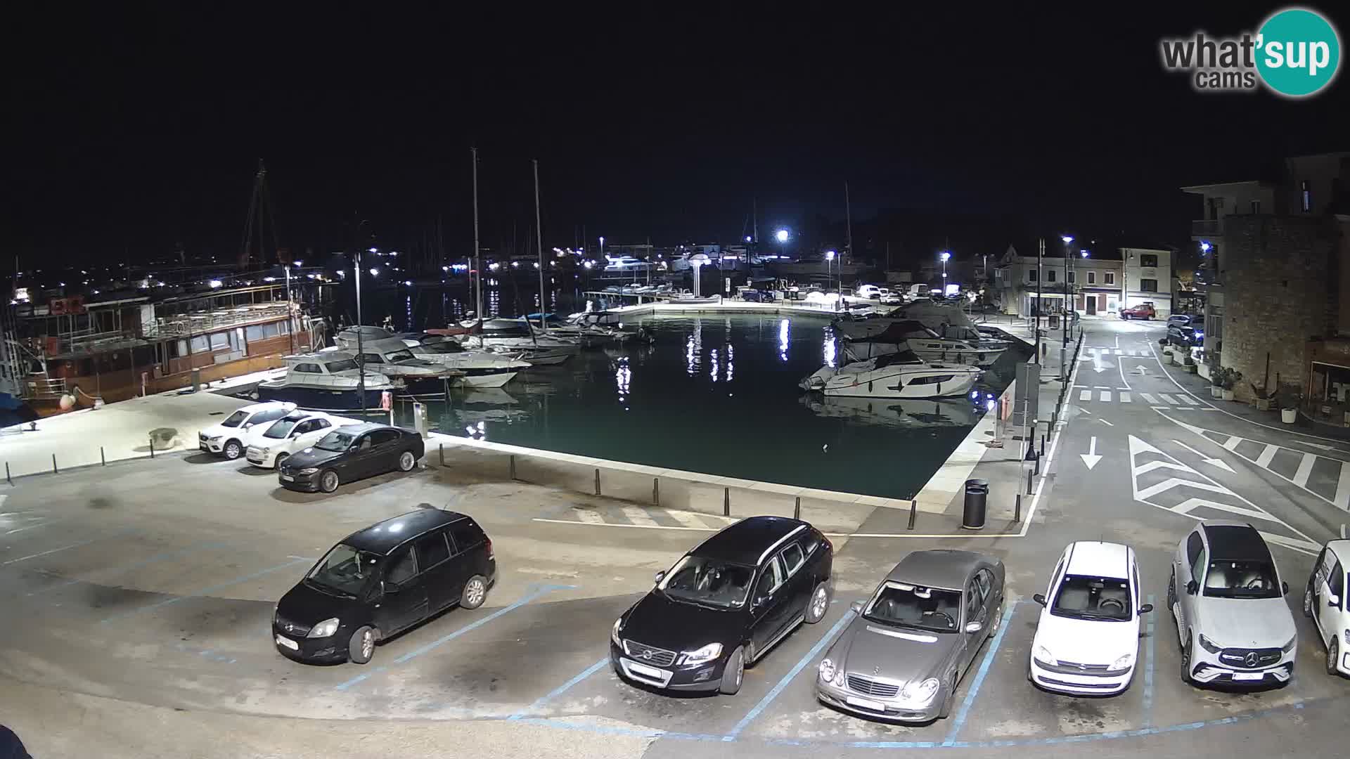 Novigrad | Porporela marina