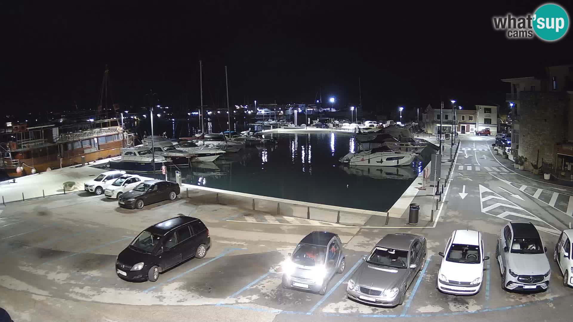 Novigrad | Porporela marina
