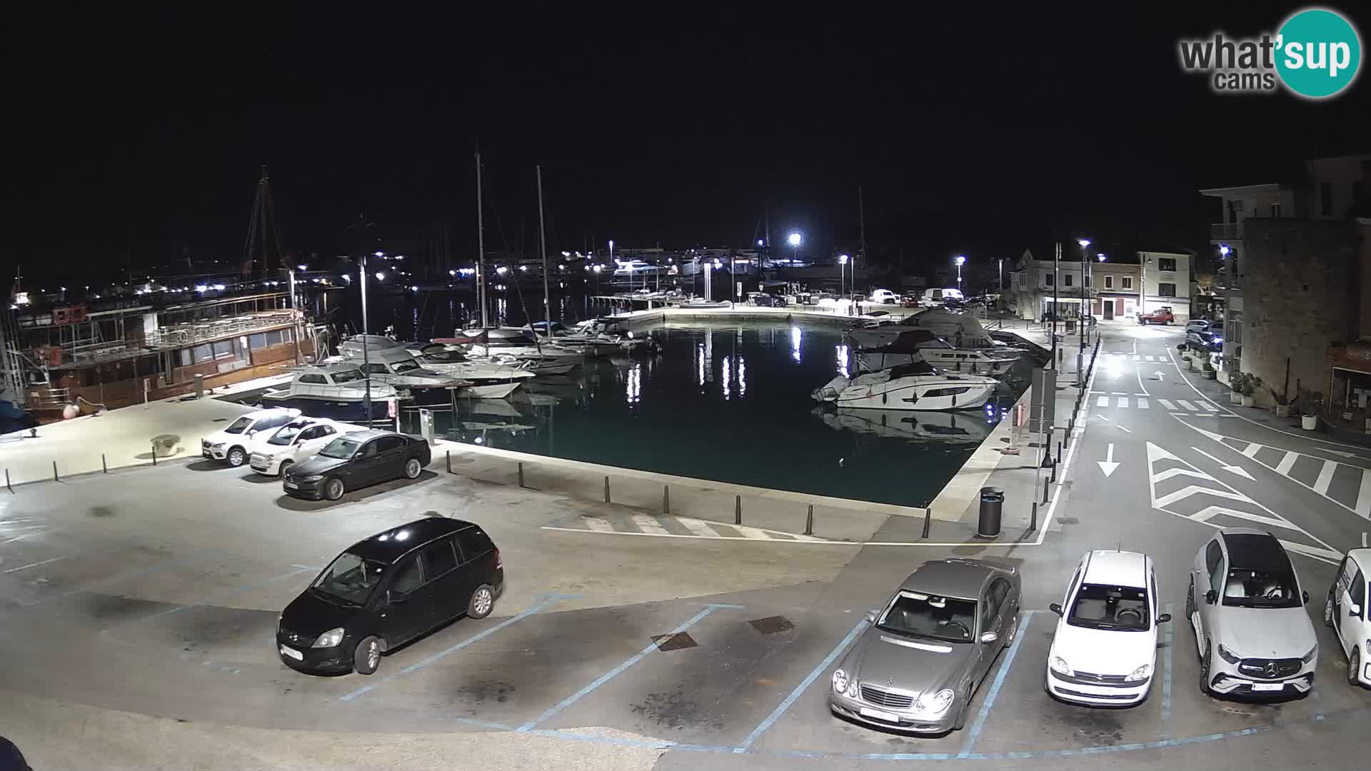 Novigrad | Porporela marina