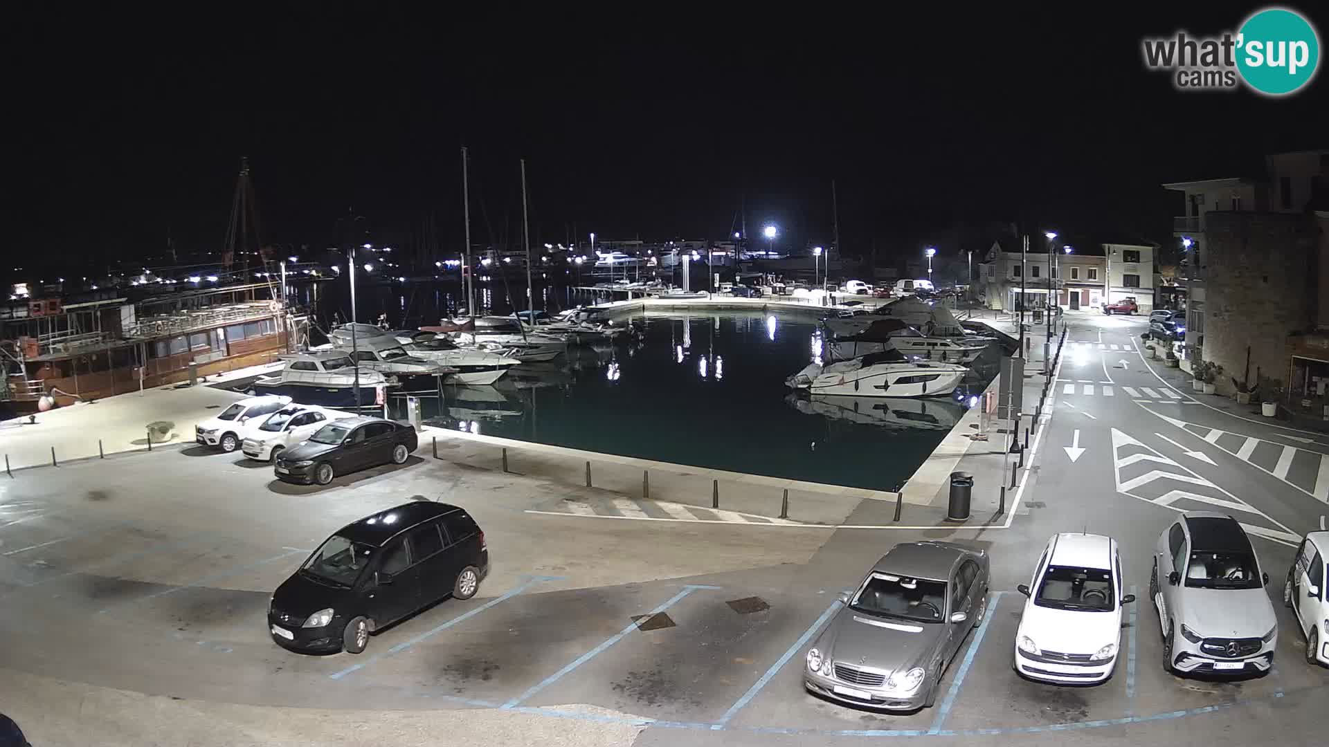 Novigrad | Porporela marina