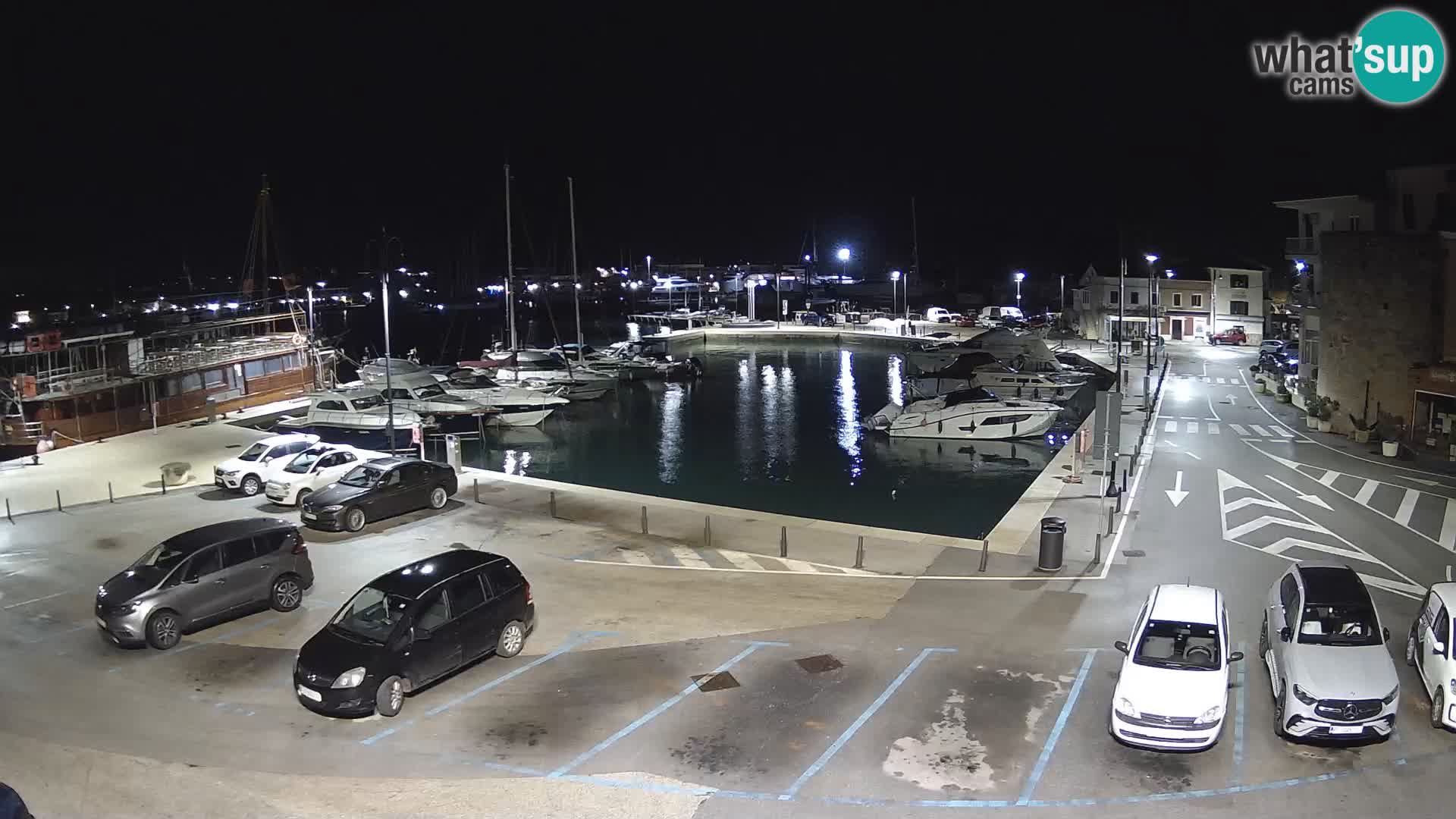 Novigrad | Porporela marina
