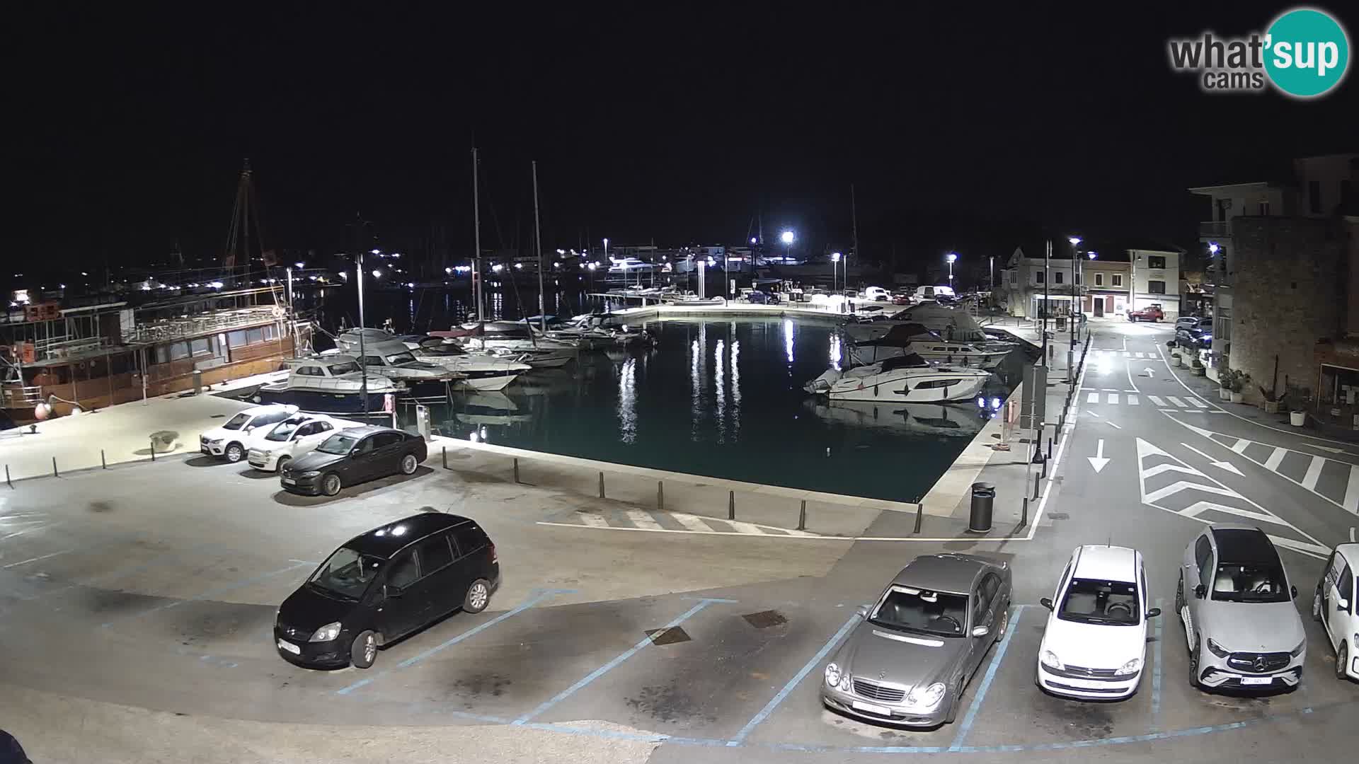 Novigrad | Porporela marina