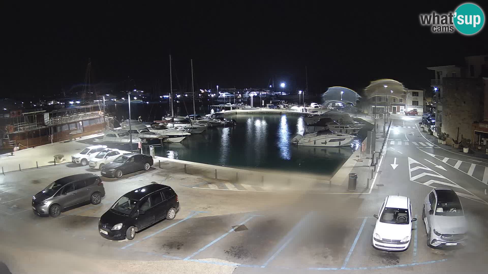 Novigrad | Porporela marina