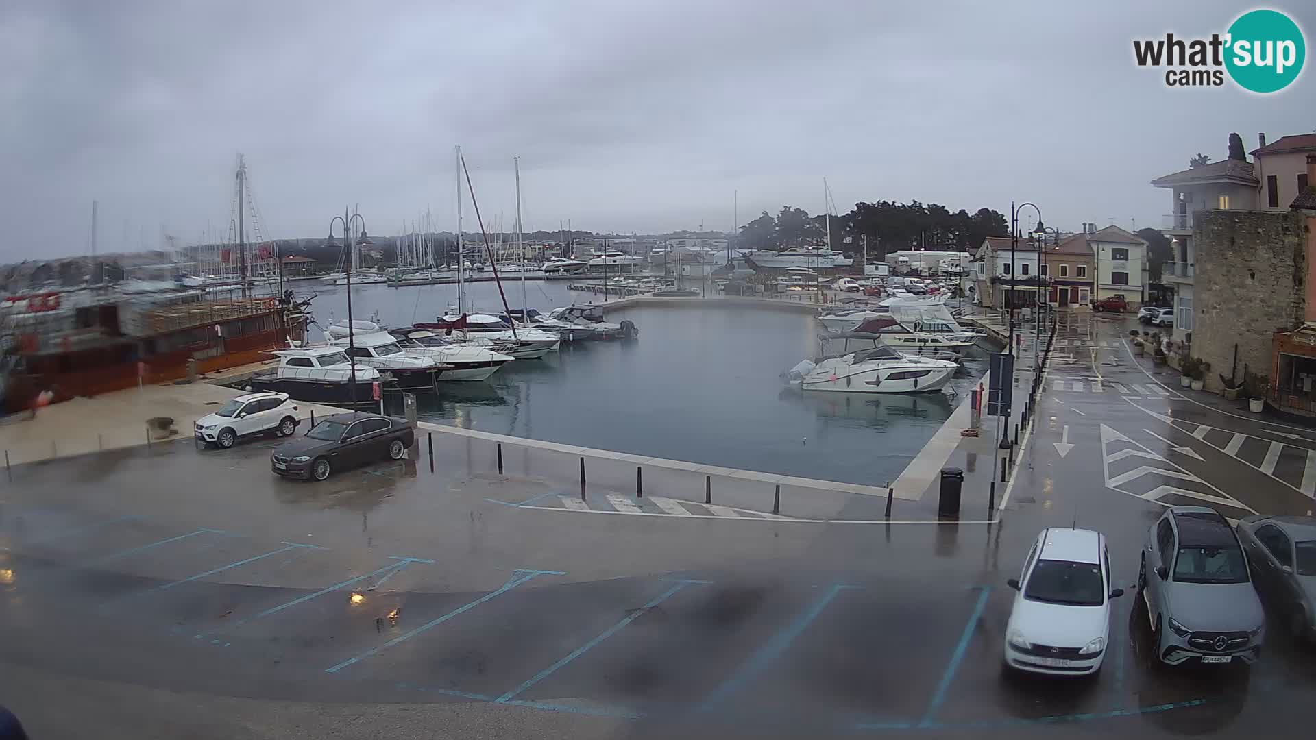 Novigrad | Porporela marina