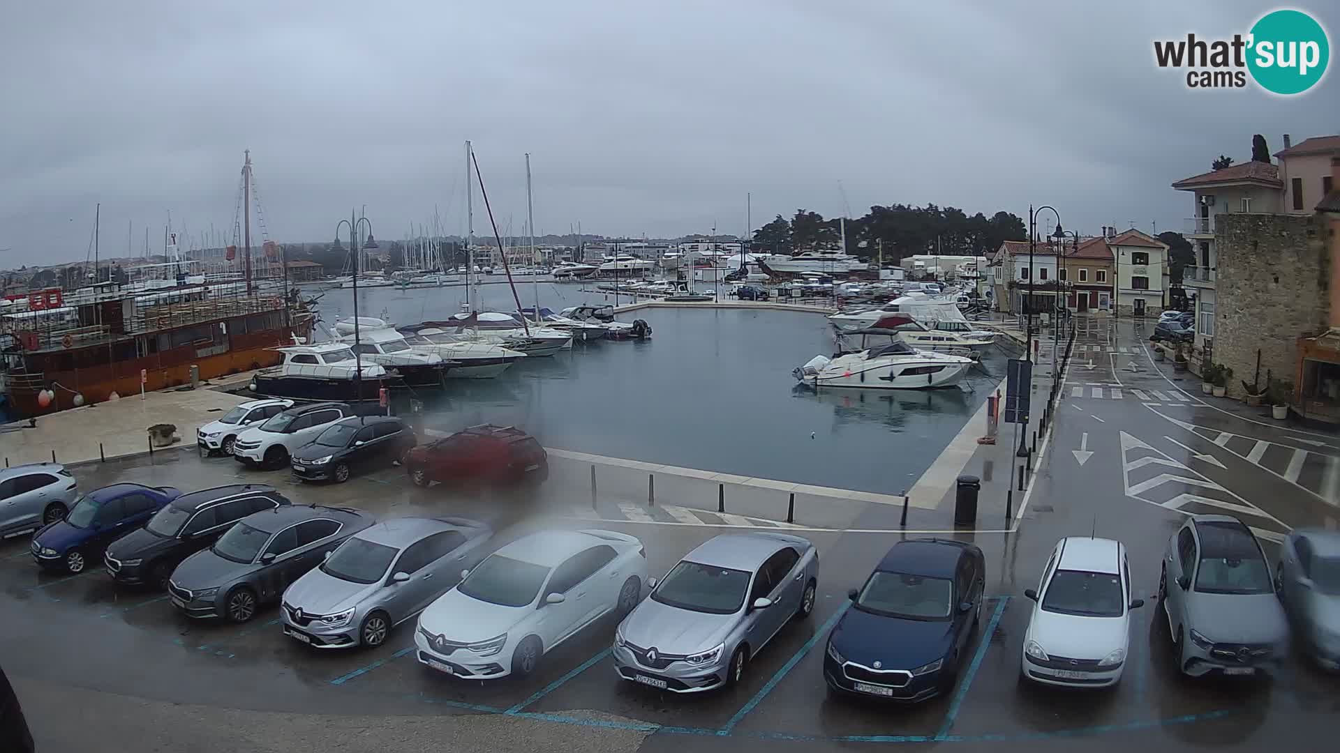 Novigrad | Porporela marina