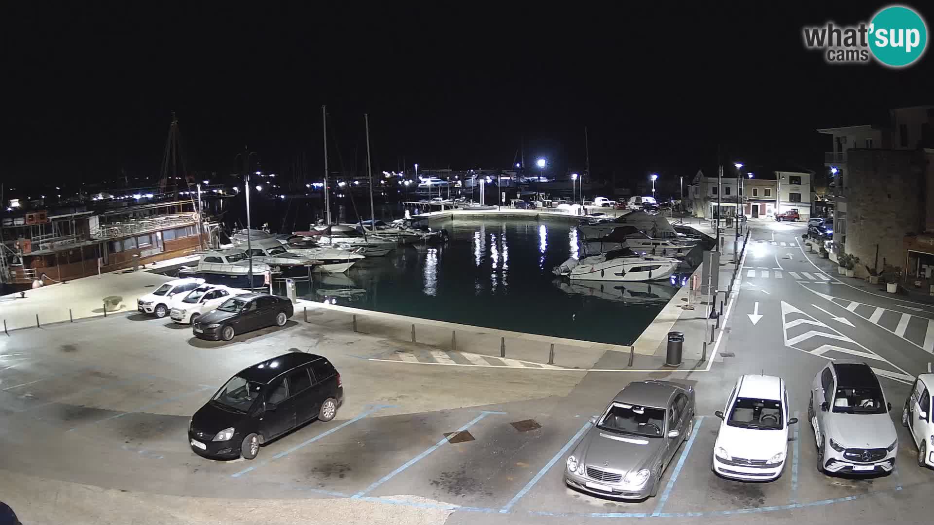 Novigrad | Porporela marina
