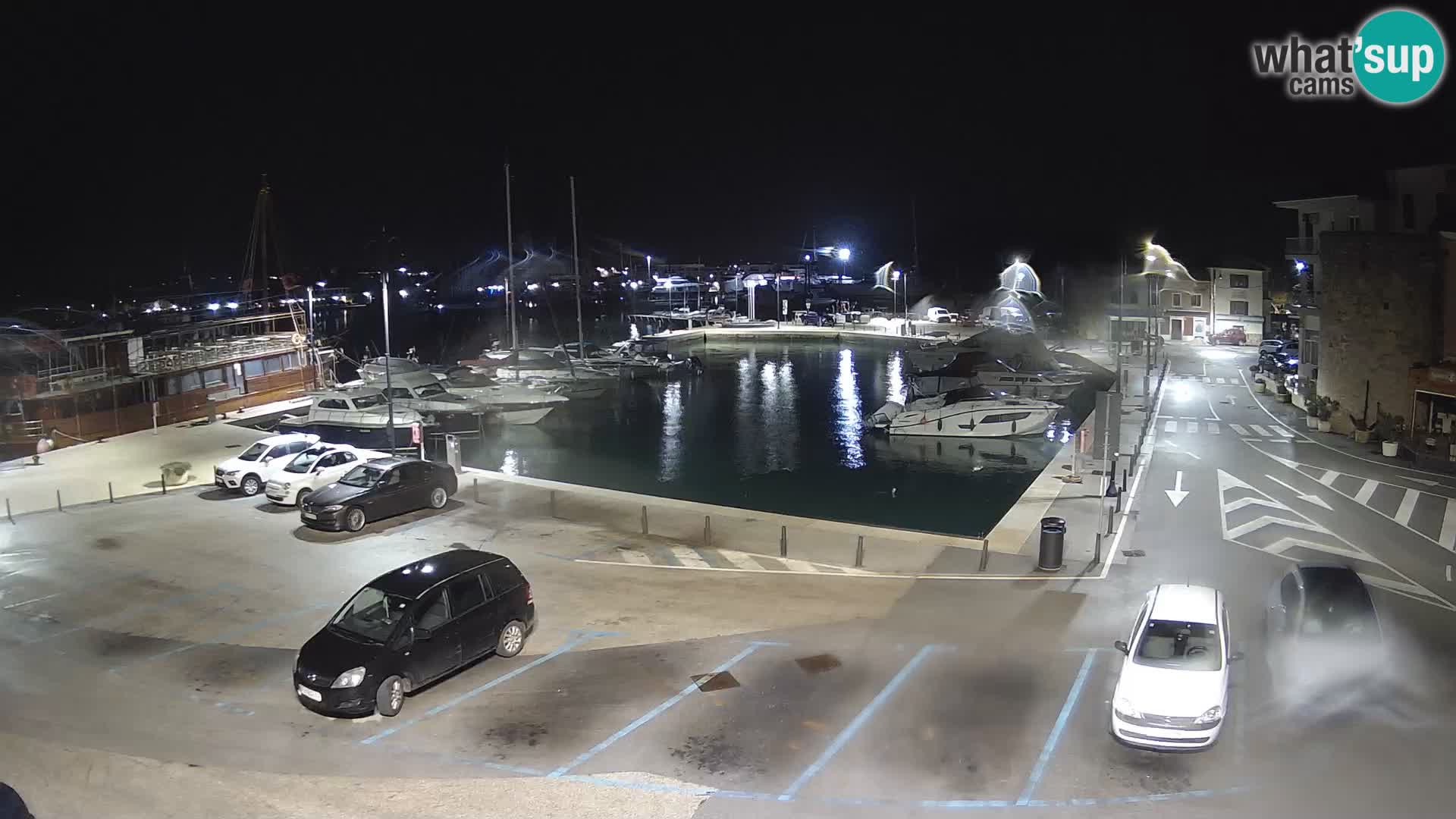 Novigrad | Porporela marina