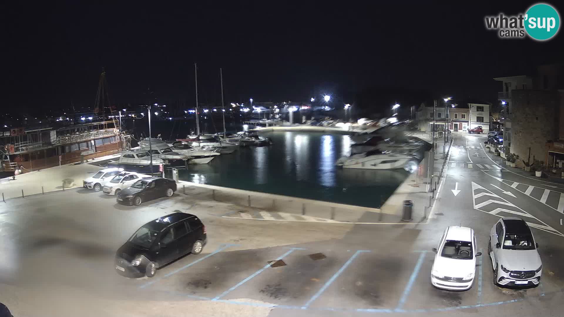 Novigrad | Porporela marina