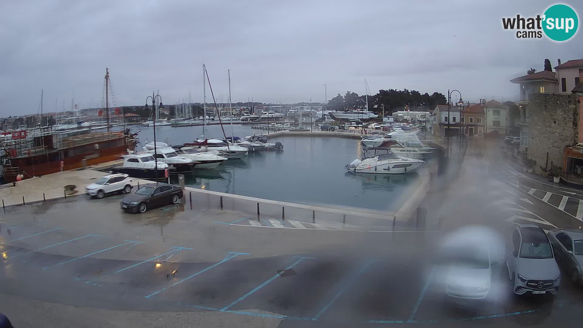 Novigrad | Porporela marina