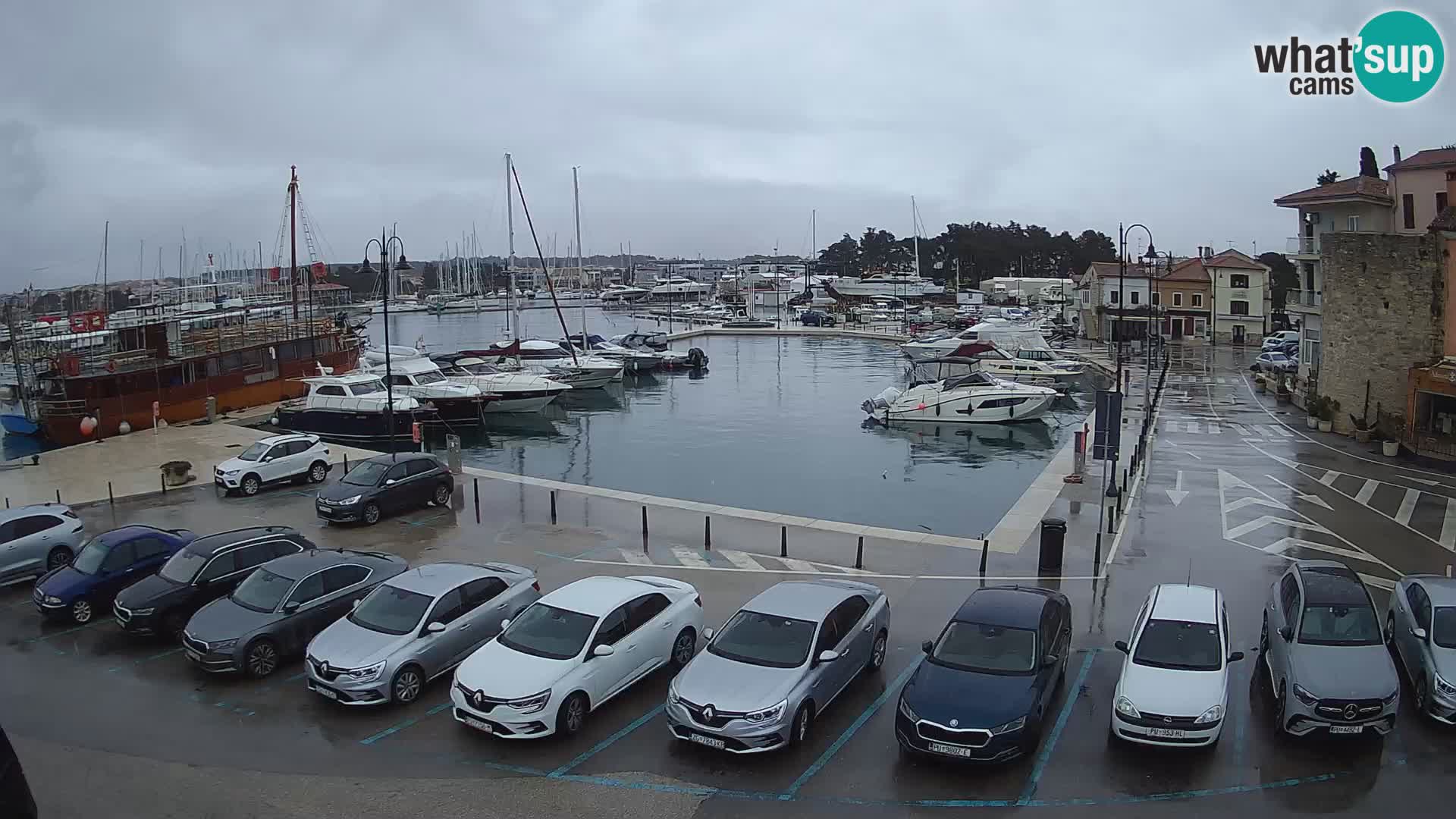 Novigrad | Porporela marina