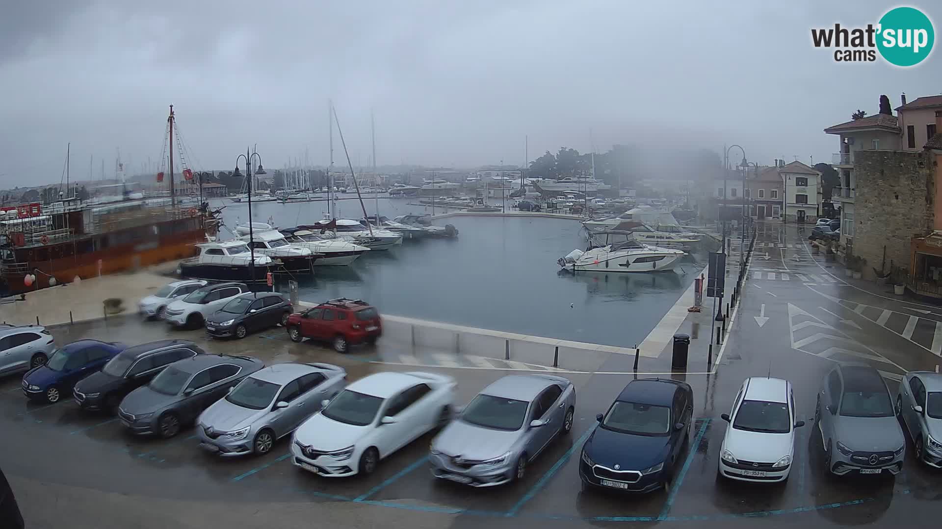 Novigrad | Porporela marina