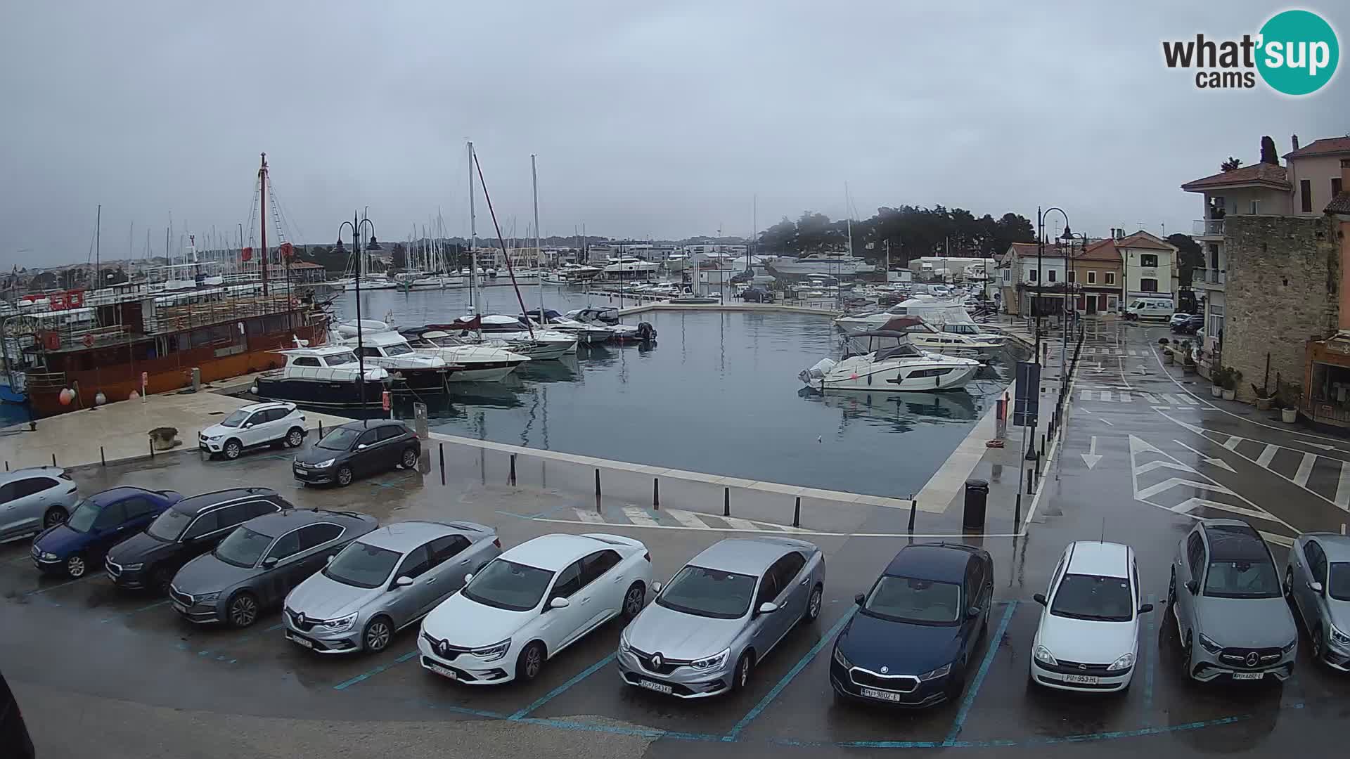 Novigrad | Porporela marina