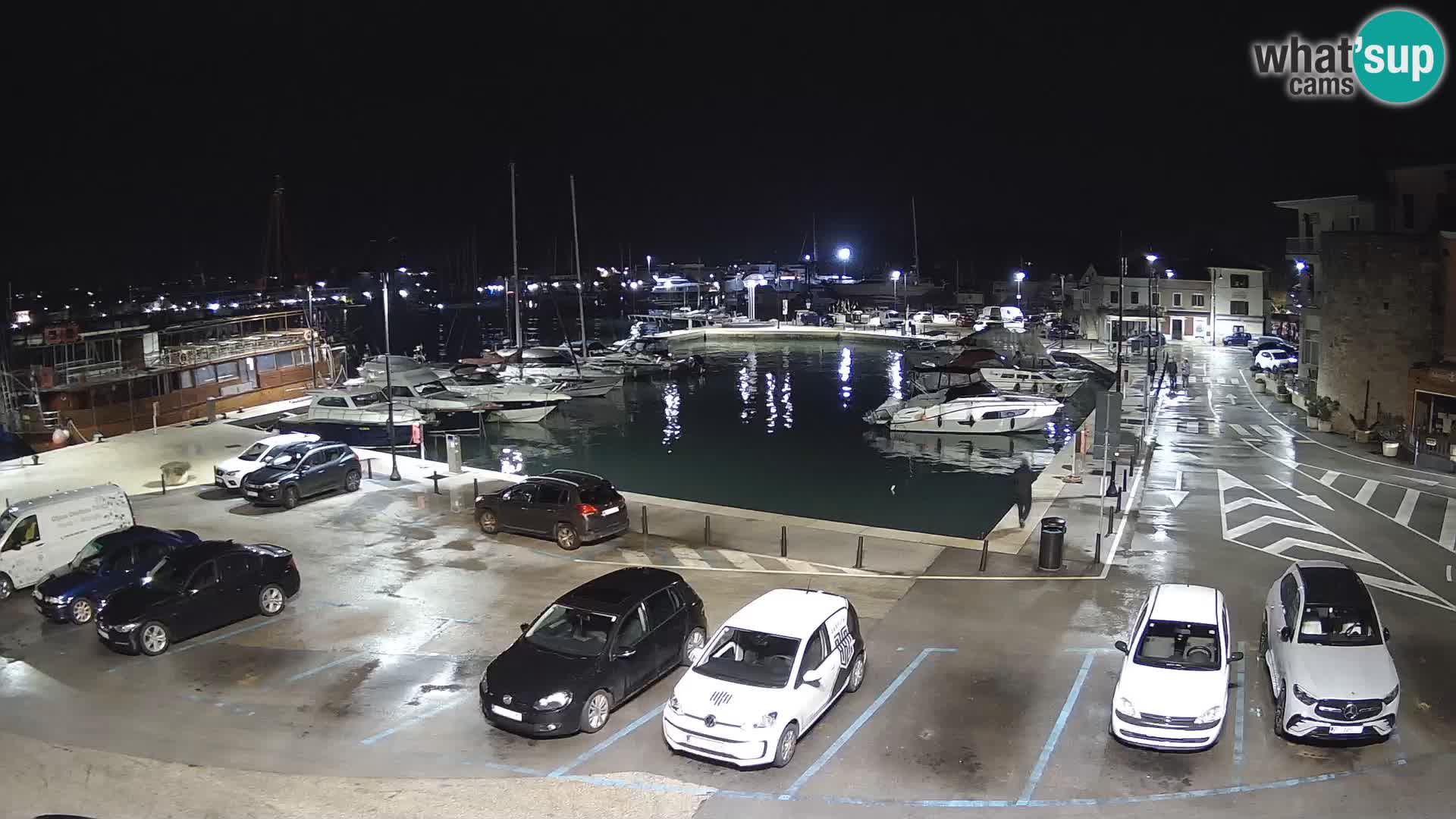 Novigrad | Porporela marina