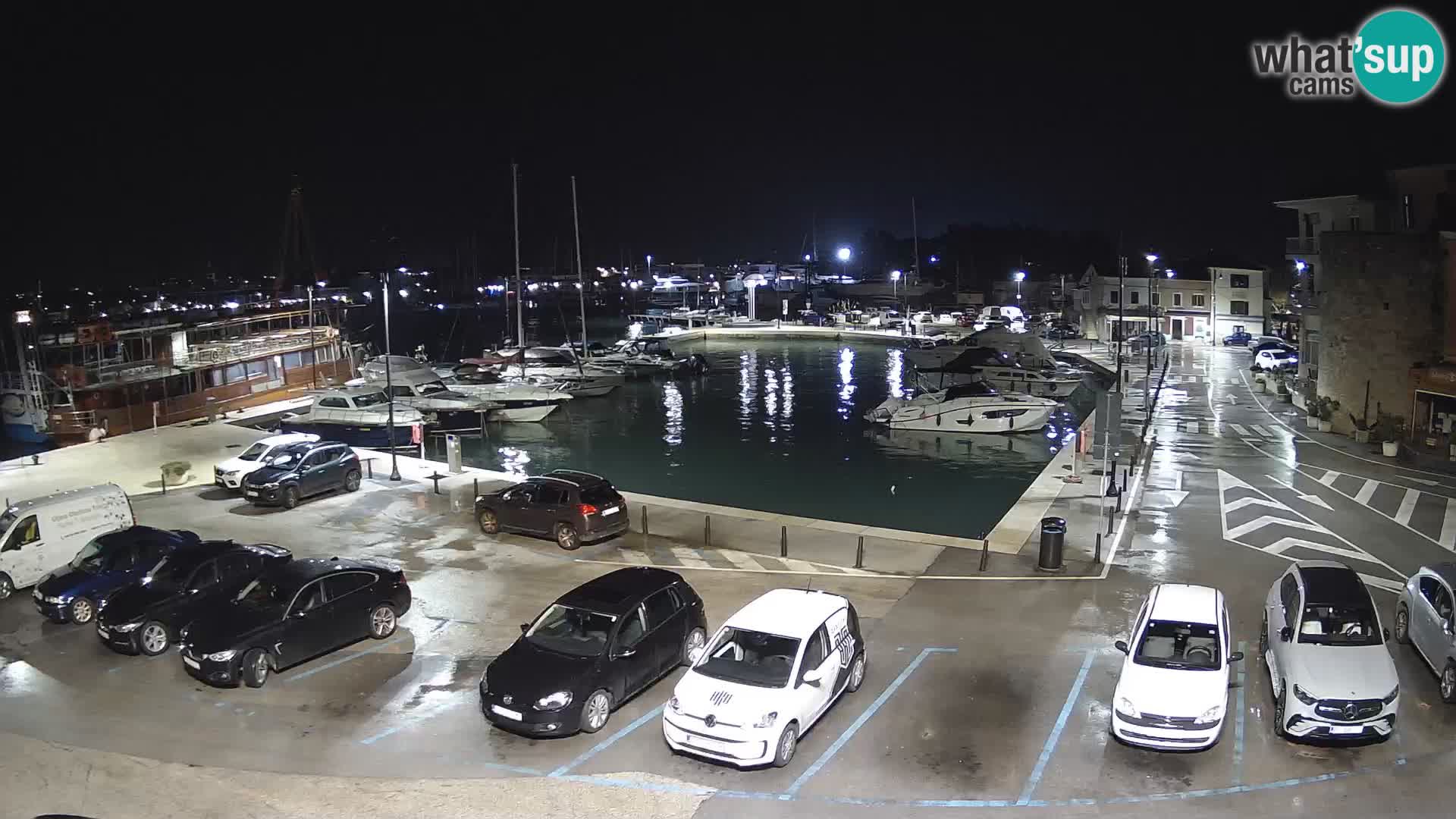 Novigrad | Porporela marina