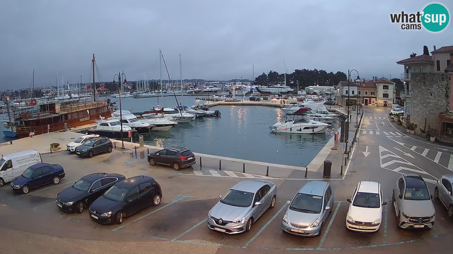 Novigrad | Porporela marina