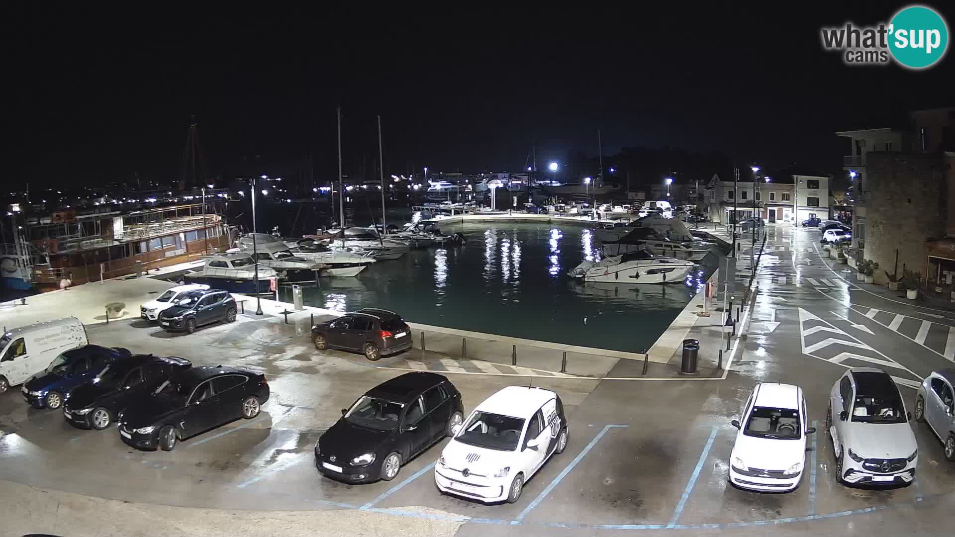 Novigrad | Porporela marina