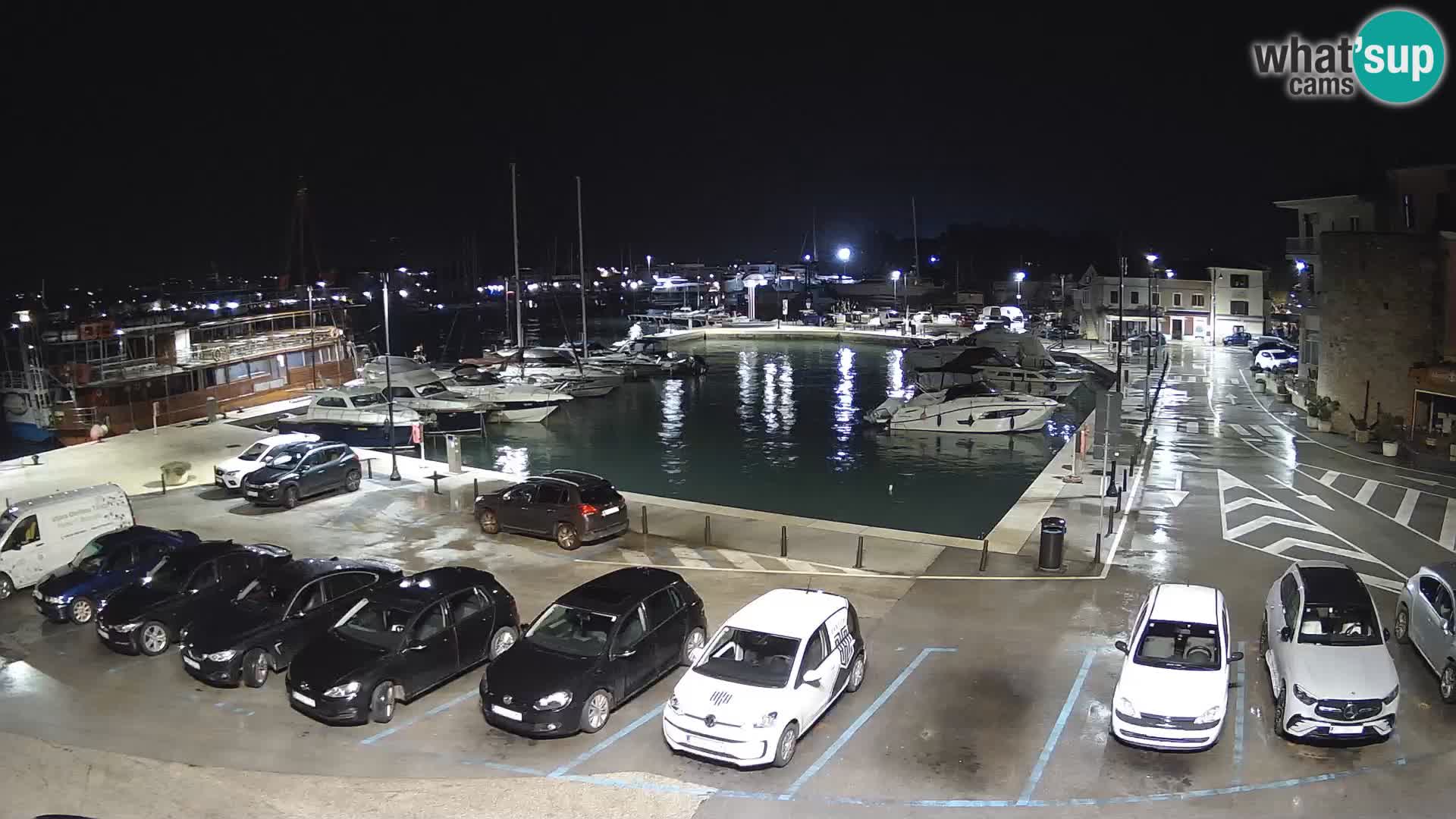 Novigrad | Porporela marina