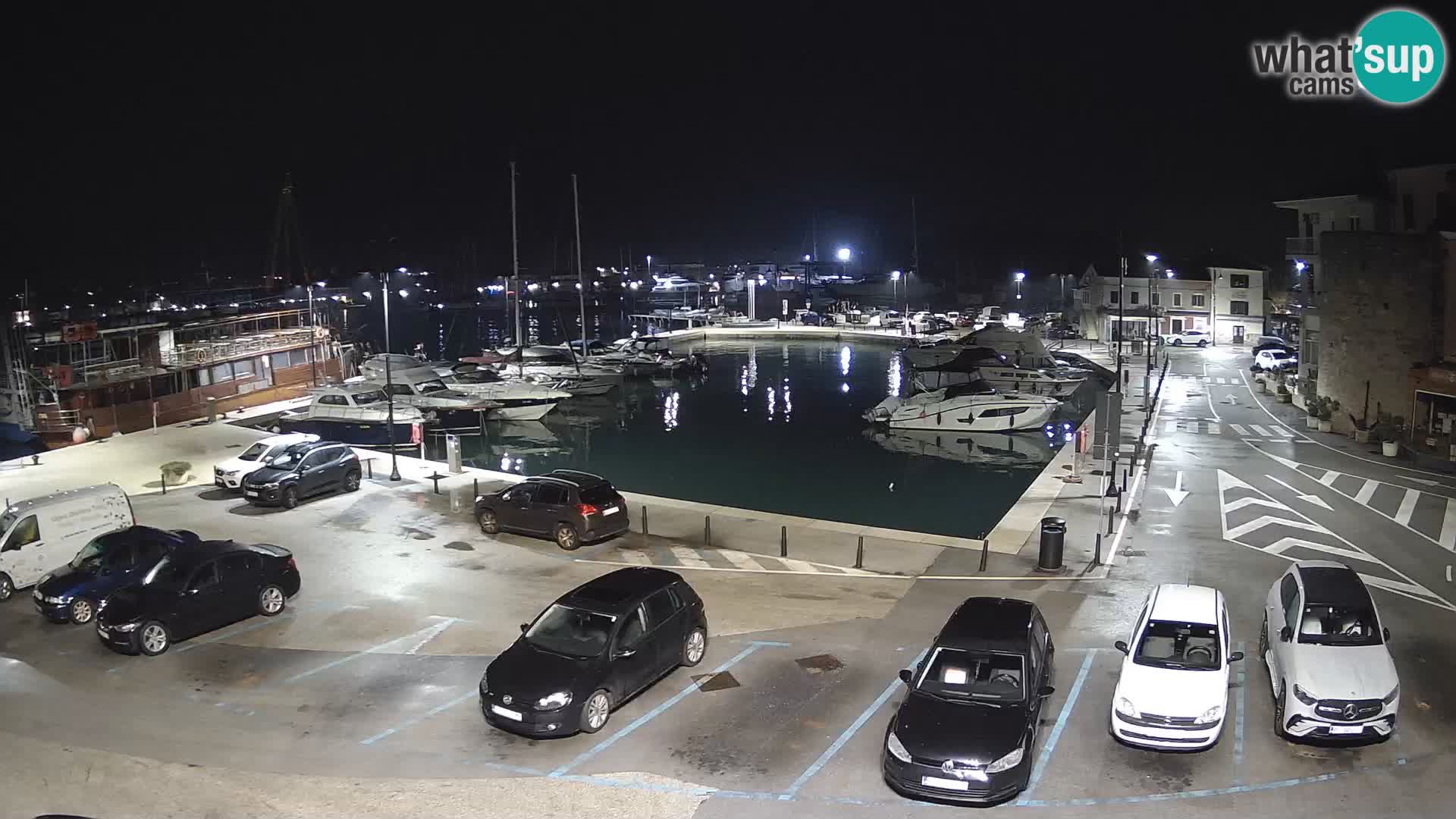 Novigrad | Porporela marina