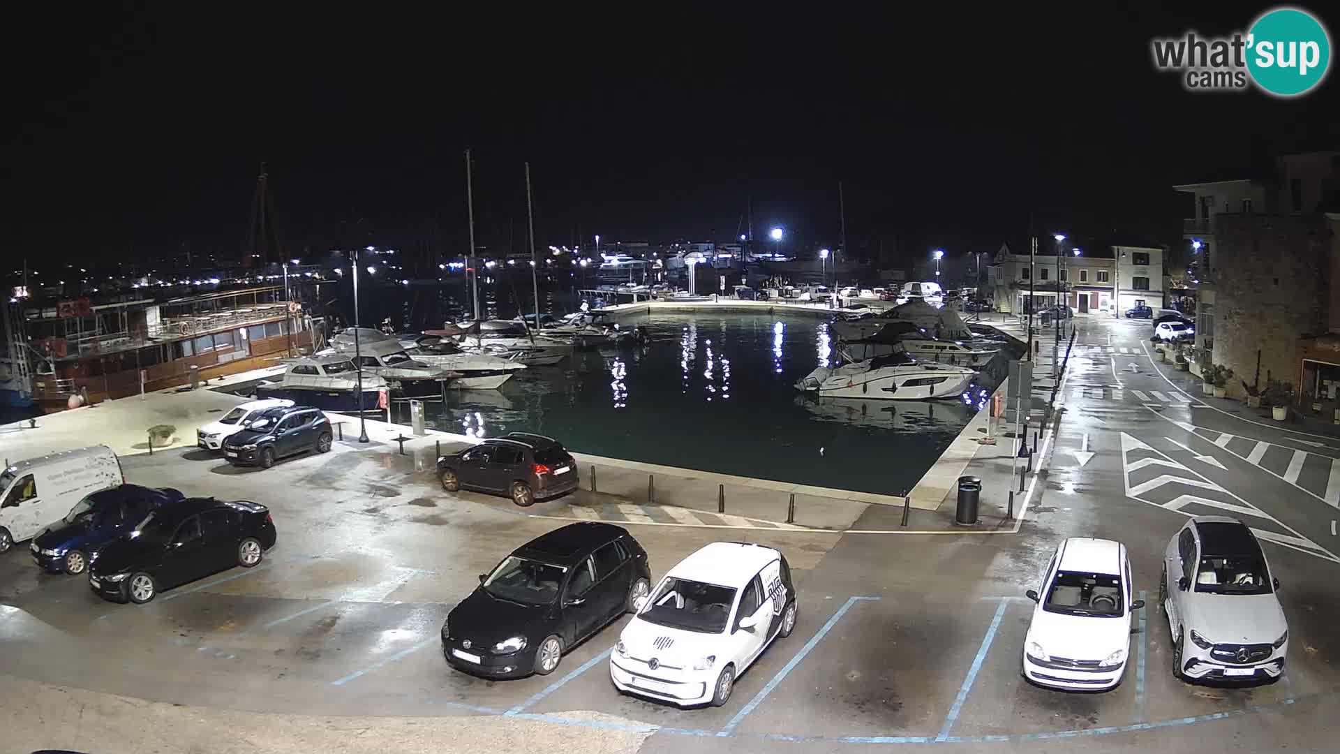 Novigrad | Porporela marina