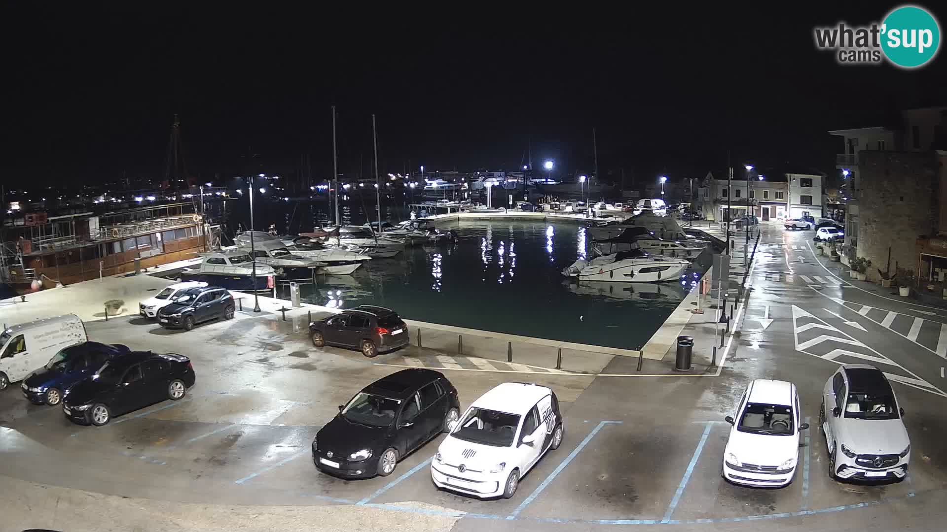 Novigrad | Porporela marina